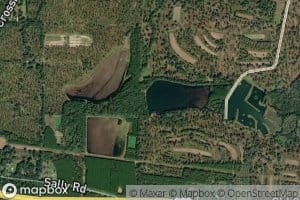 Wildlife Pond