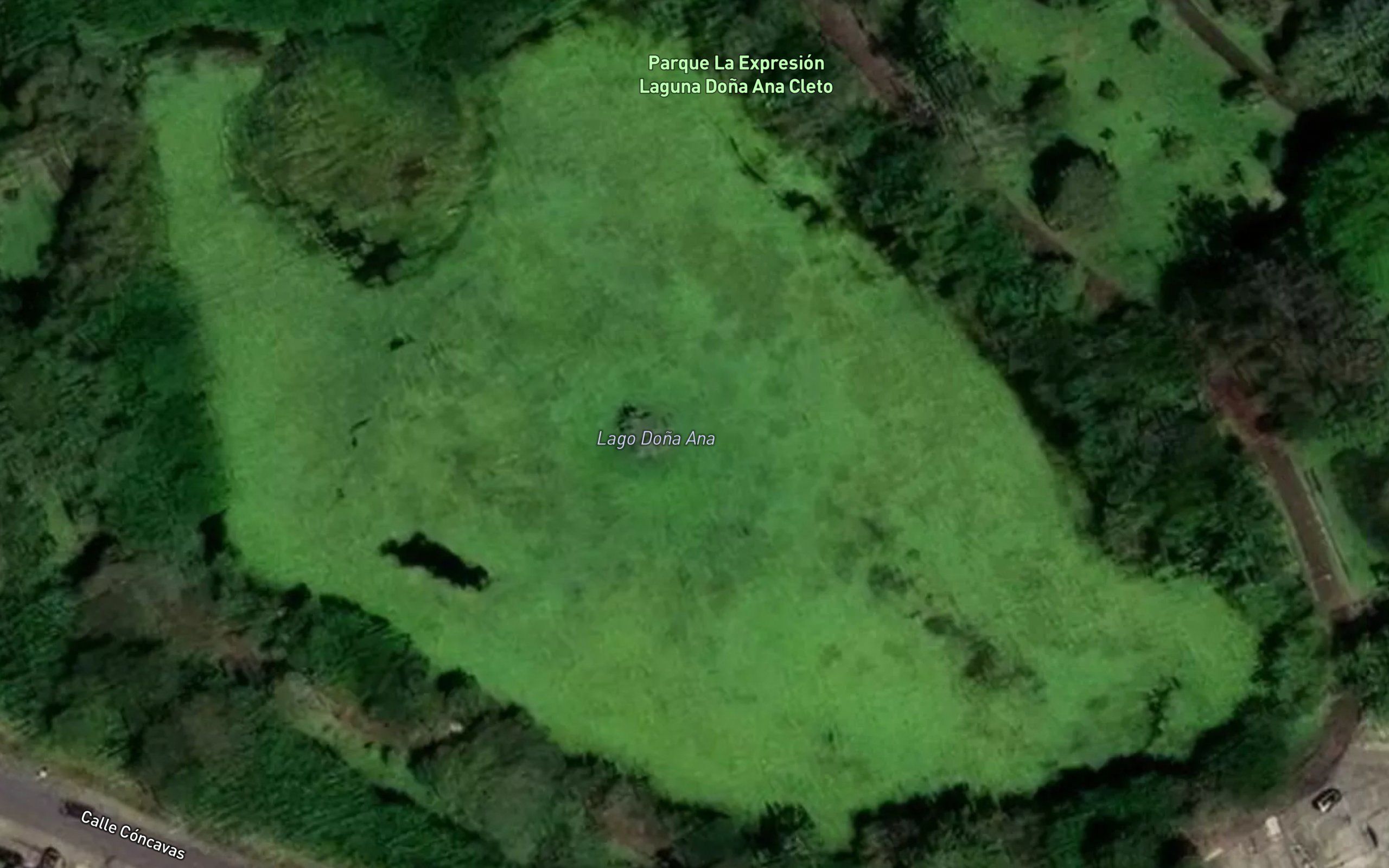 Laguna Dona Ana