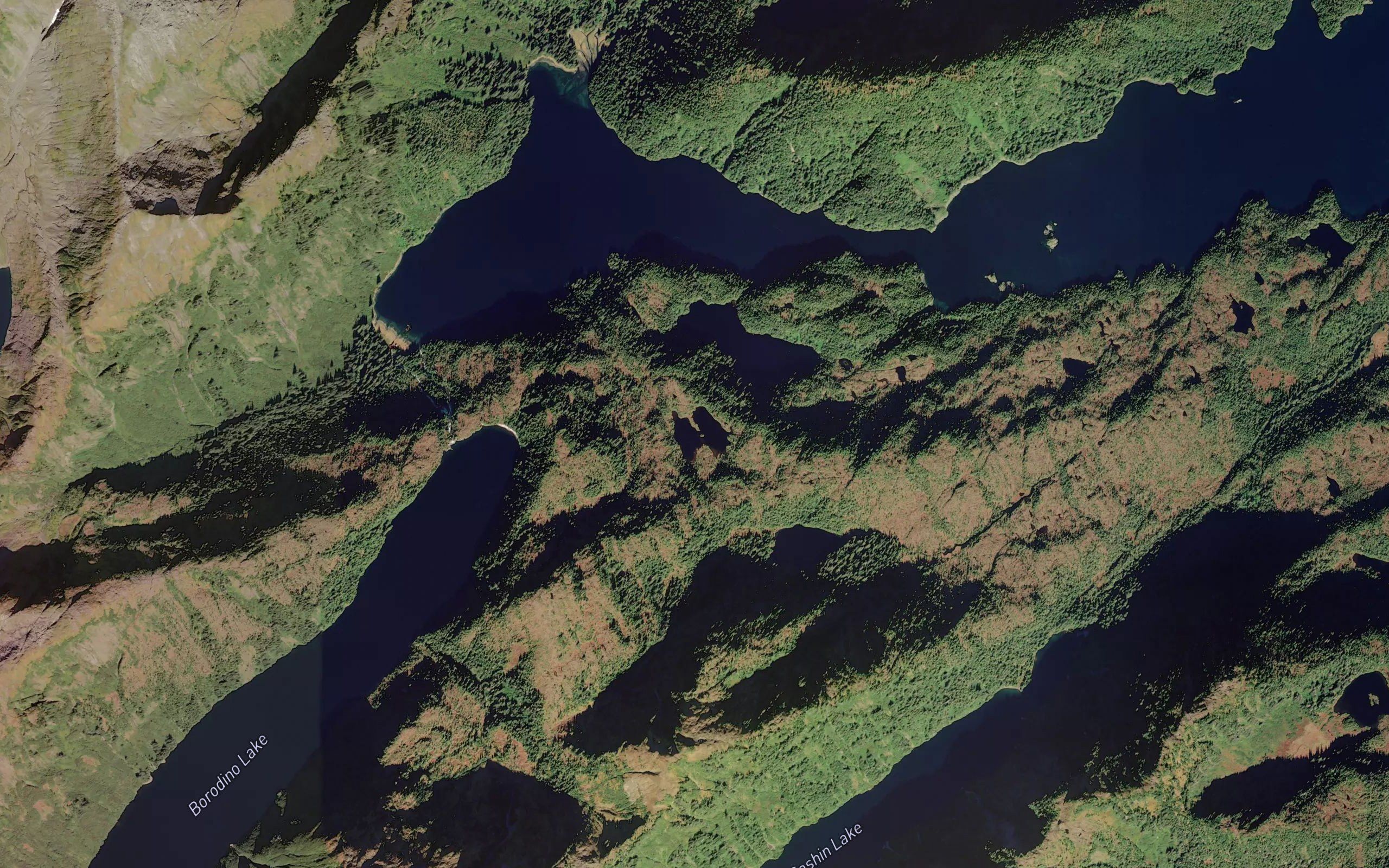 Island Lake