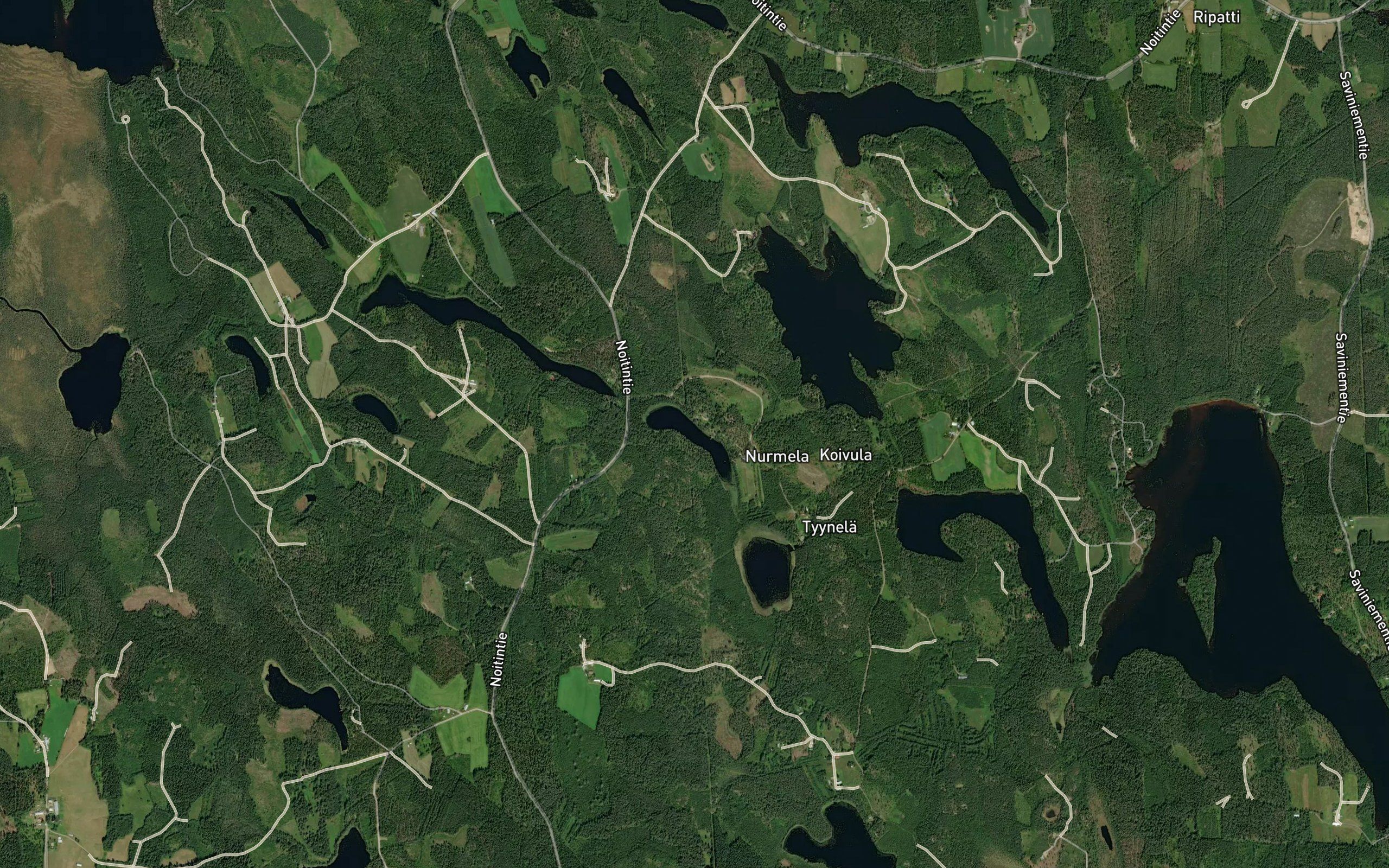 Iso Janisjarvi