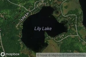 Lily Lake