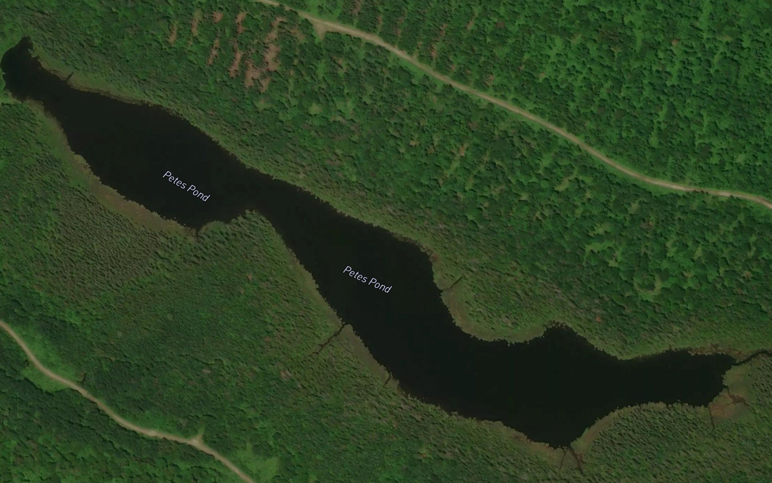 Petes Pond