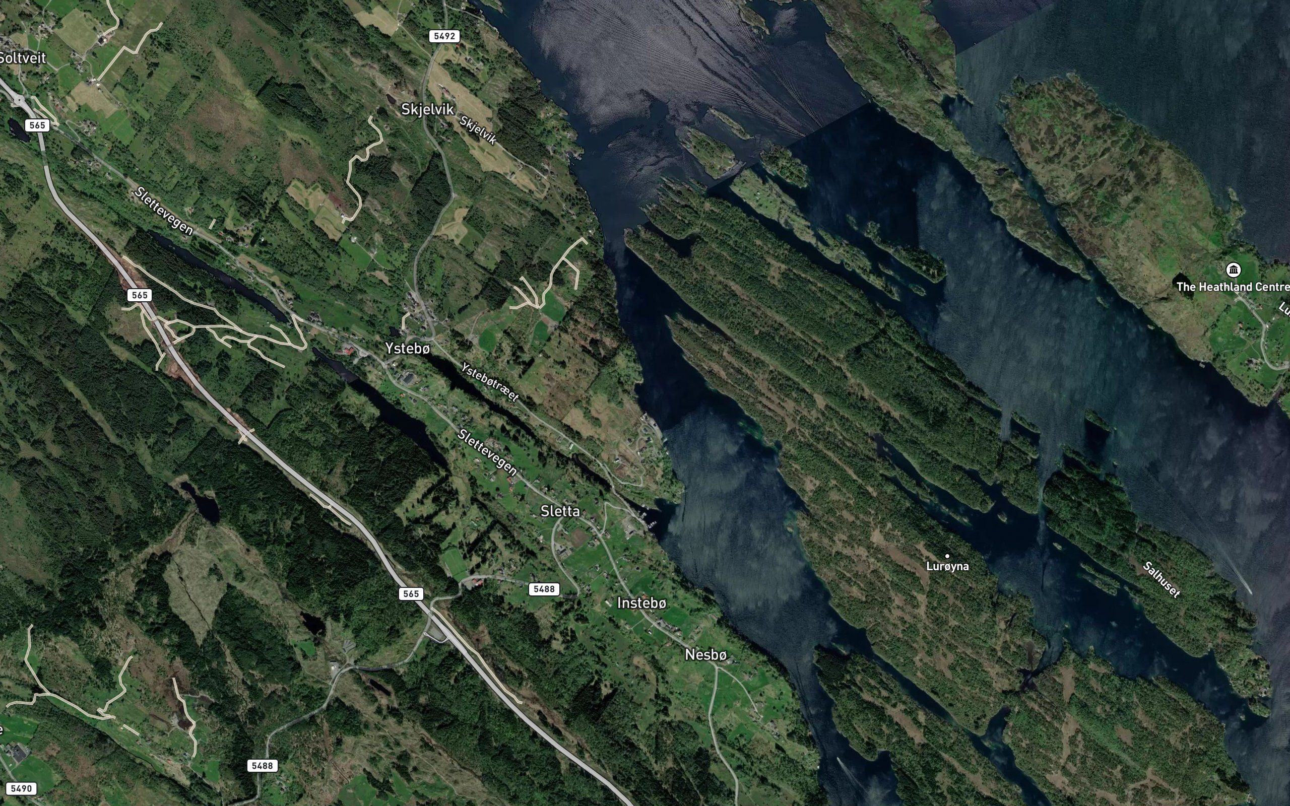 Blomskogviki
