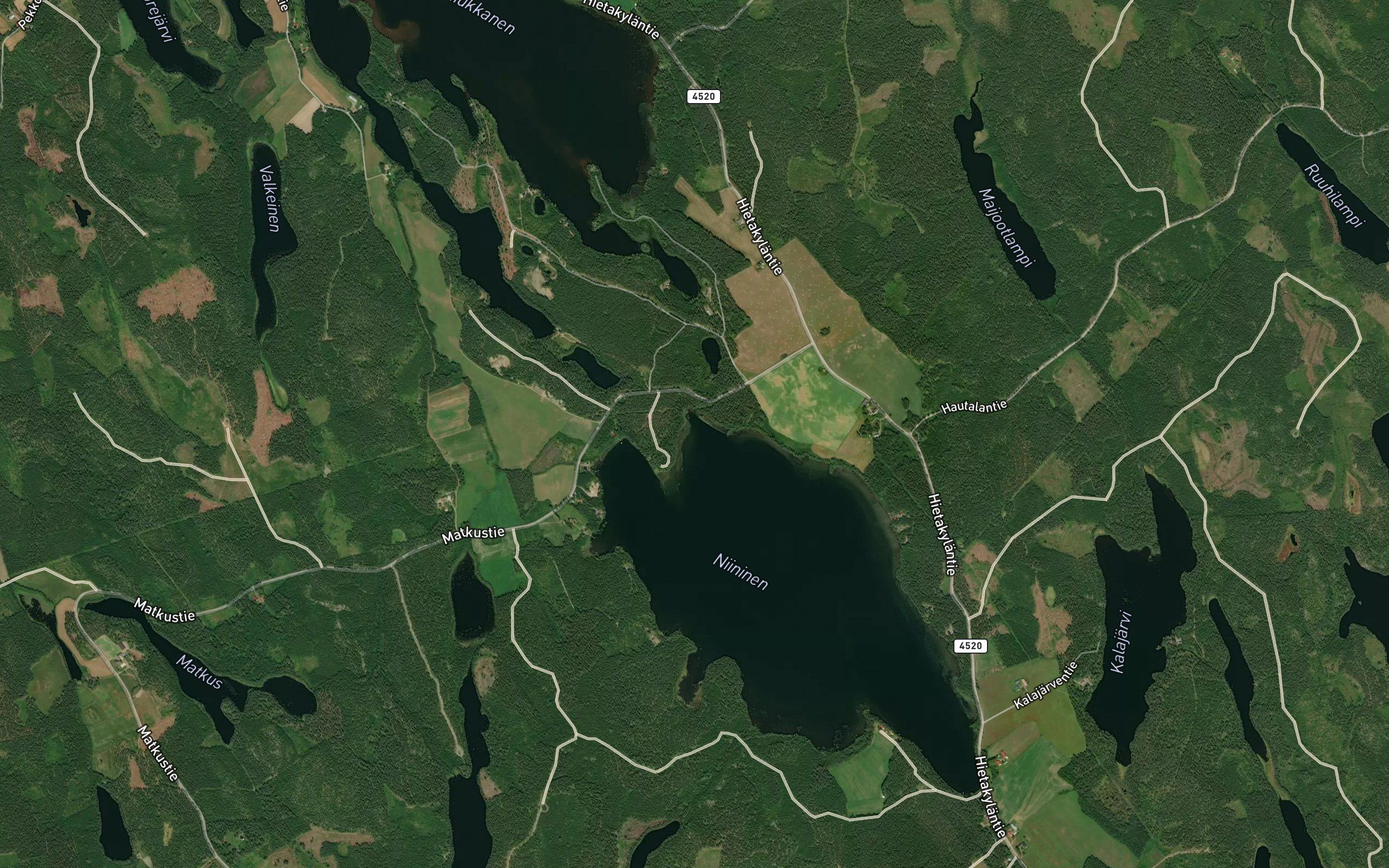 Petajalahti