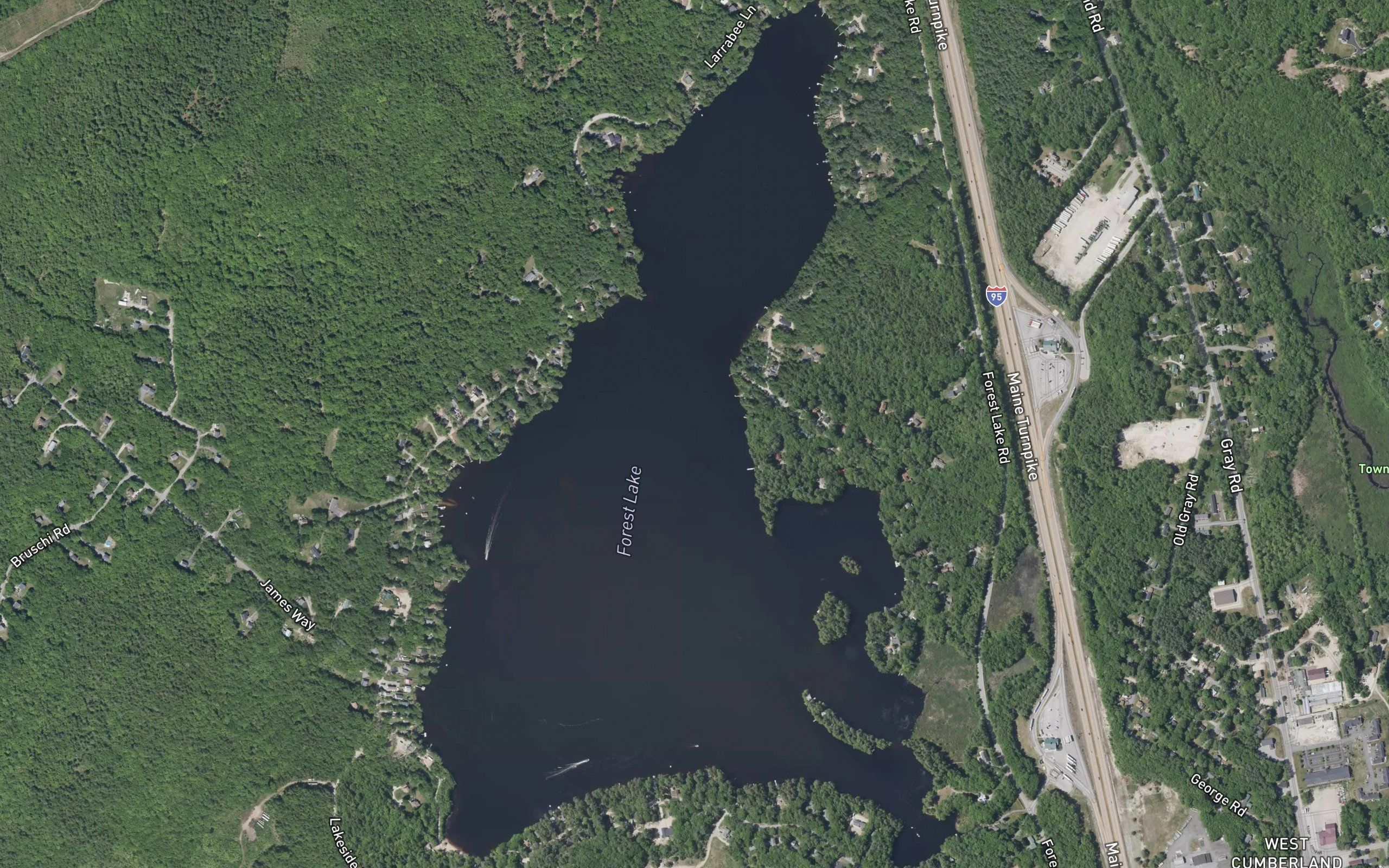 Forest Lake