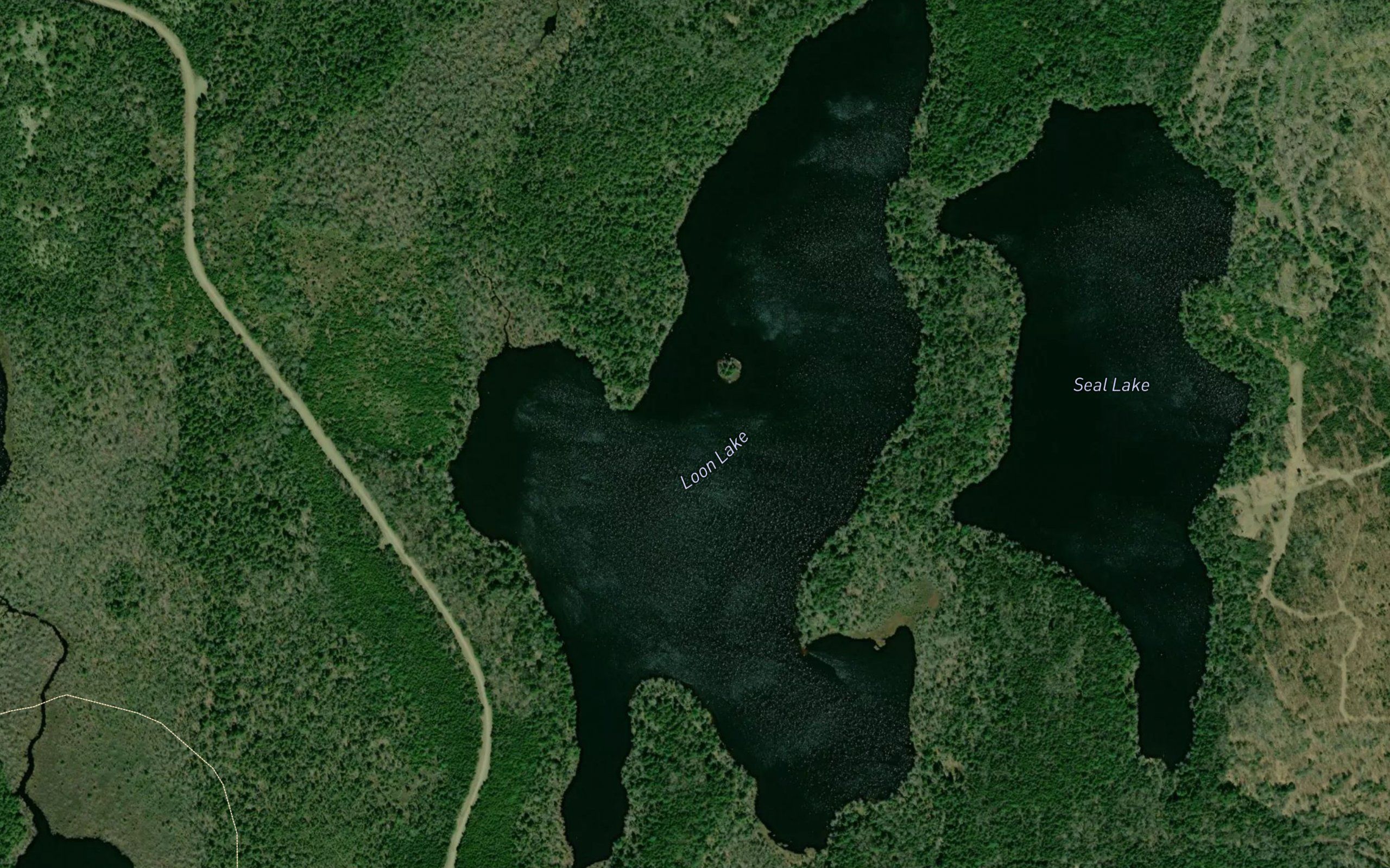 Loon Lake
