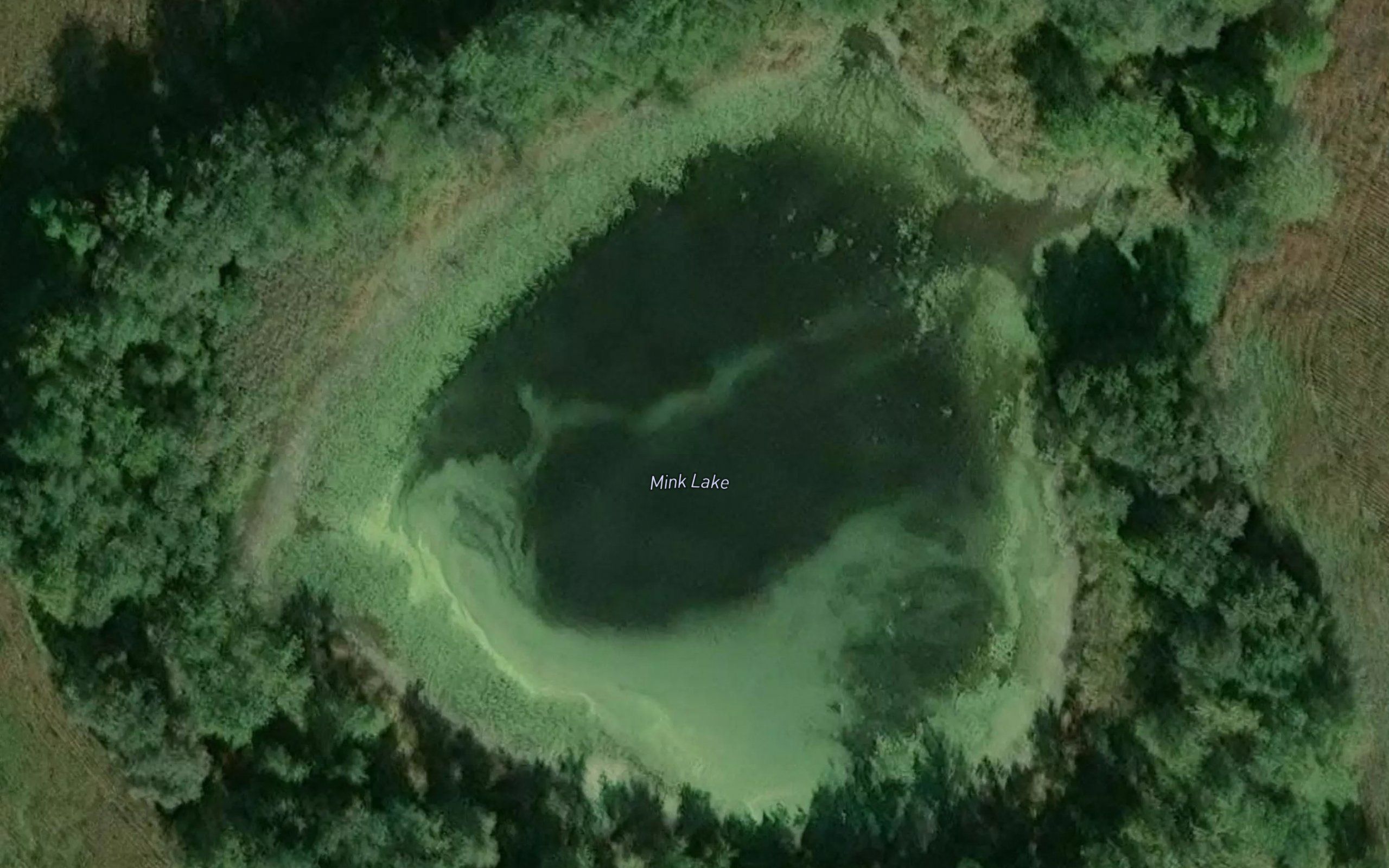 Mink Lake