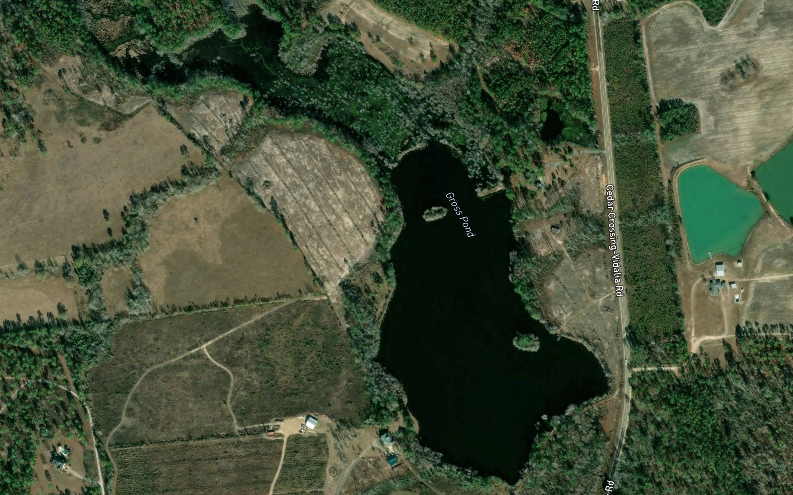 Gross Pond