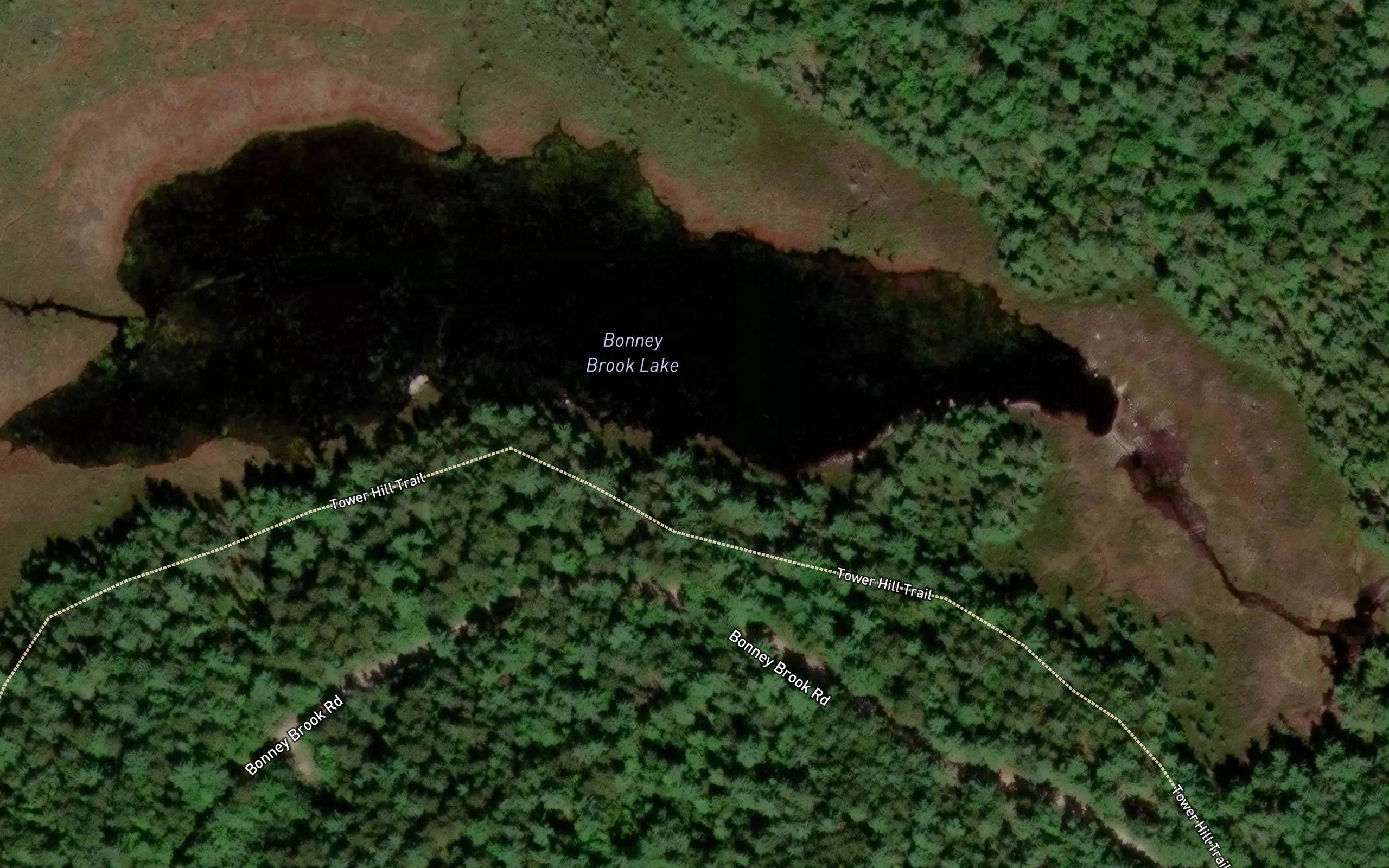 Bonney Brook Lake