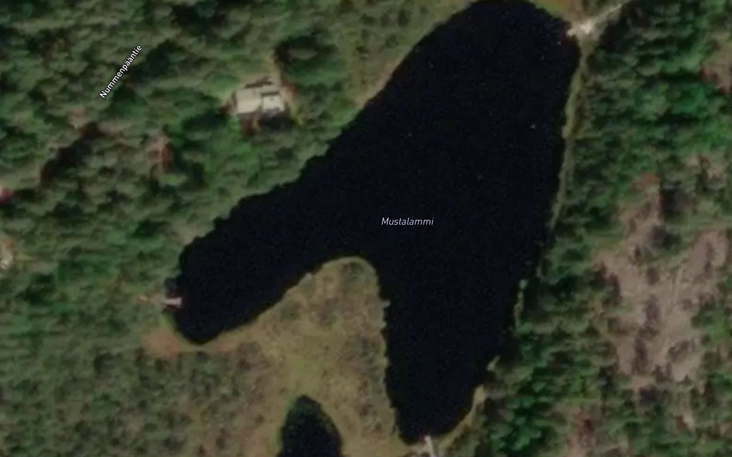 Mustalammi