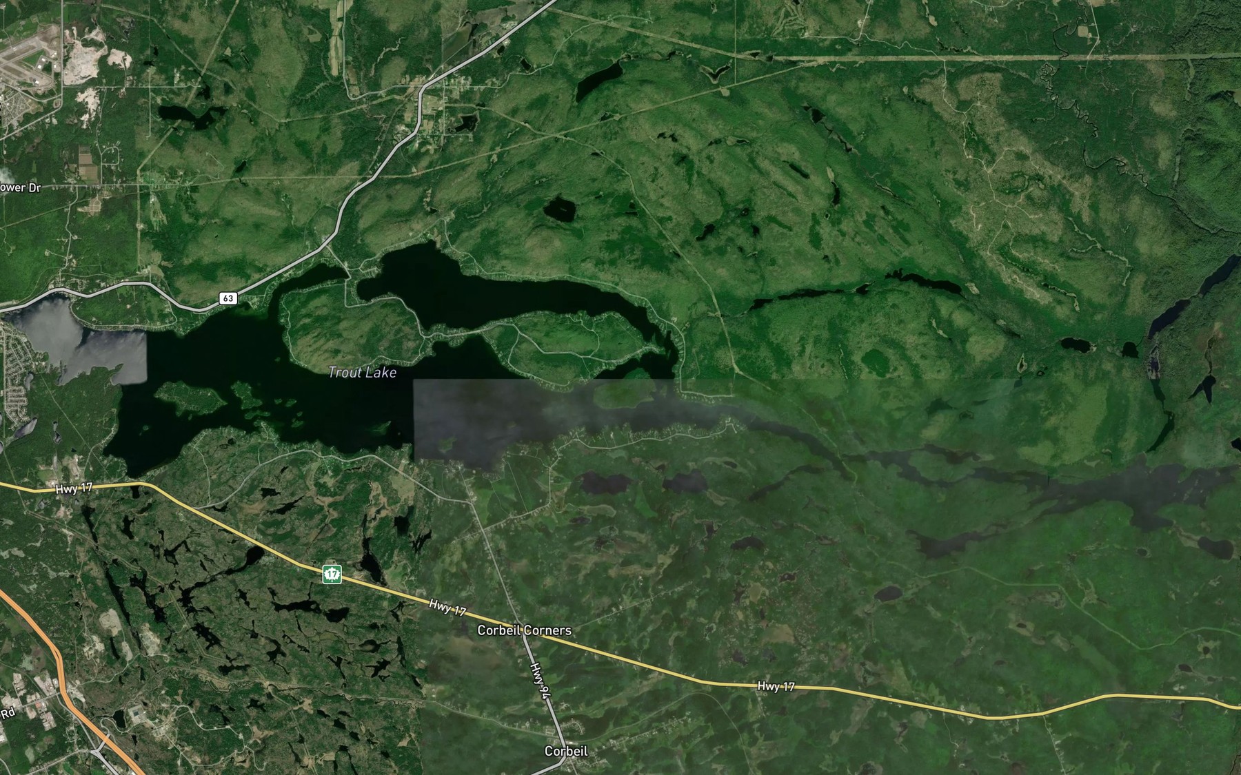 Satellite map of the Trout Lake