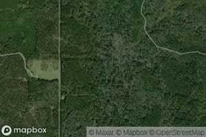 Mineral Spring Branch