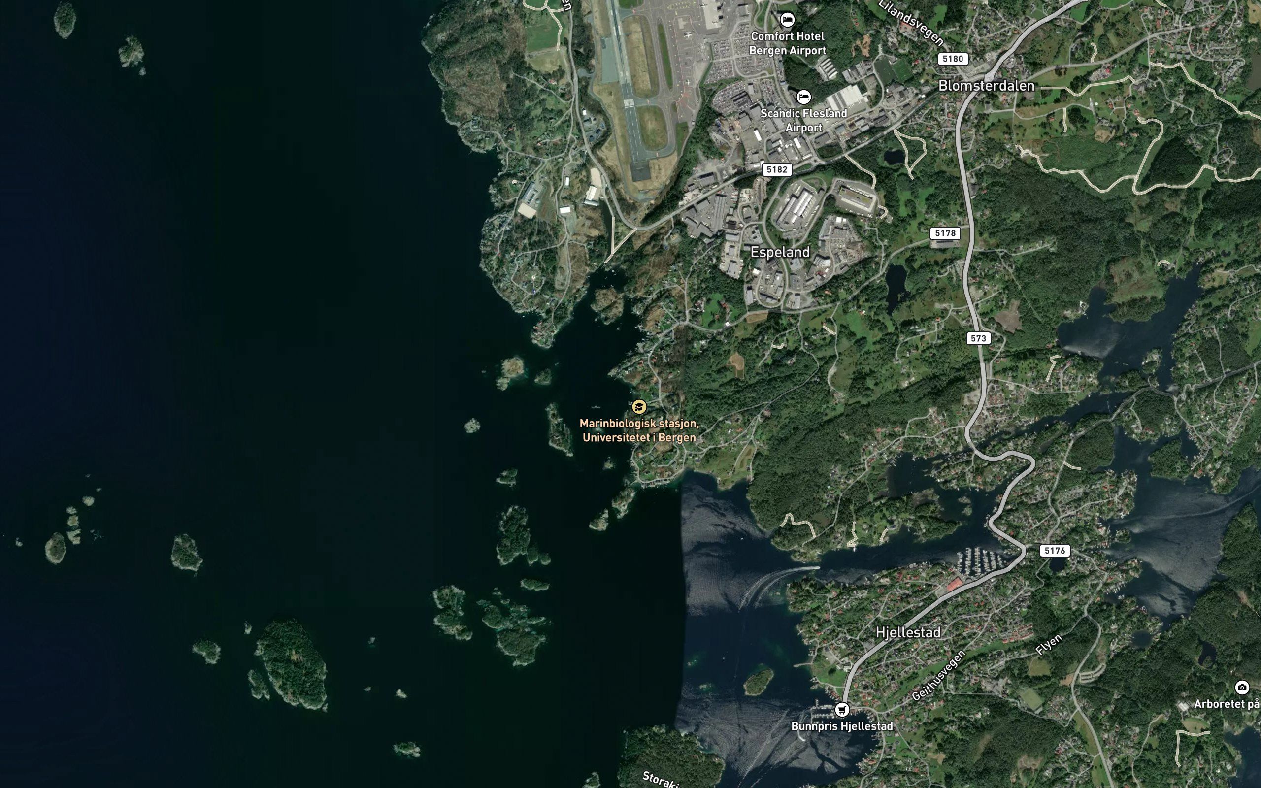 Steingardsvika