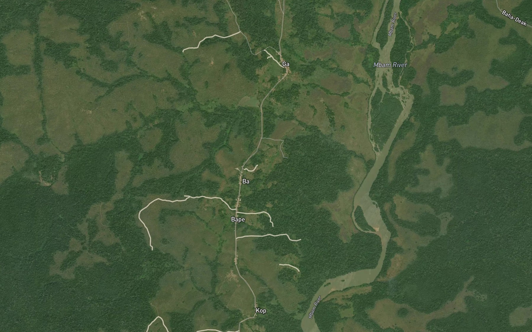 Satellite map of the Nzole