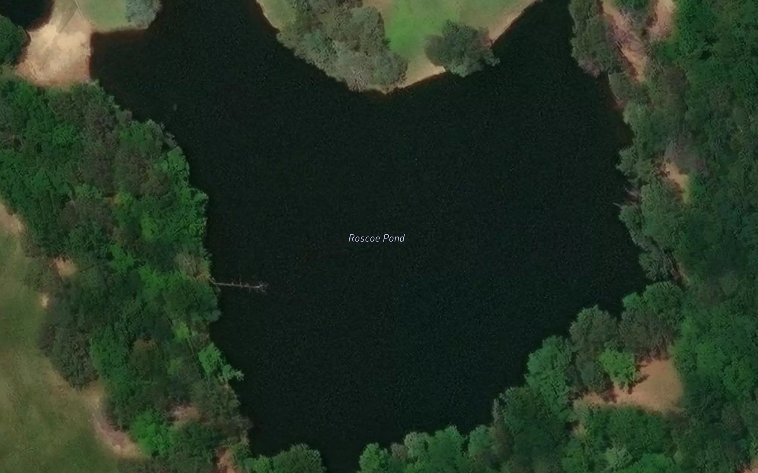 Roscoe Pond