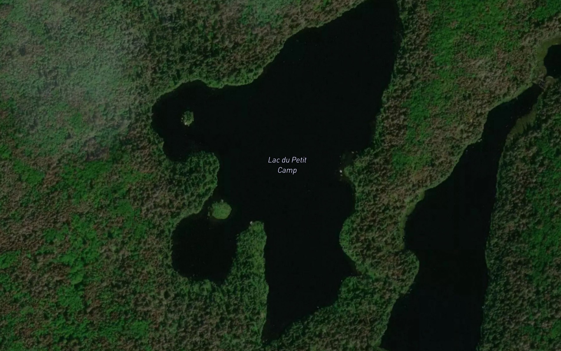 Satellite map of the Lac du Petit Camp
