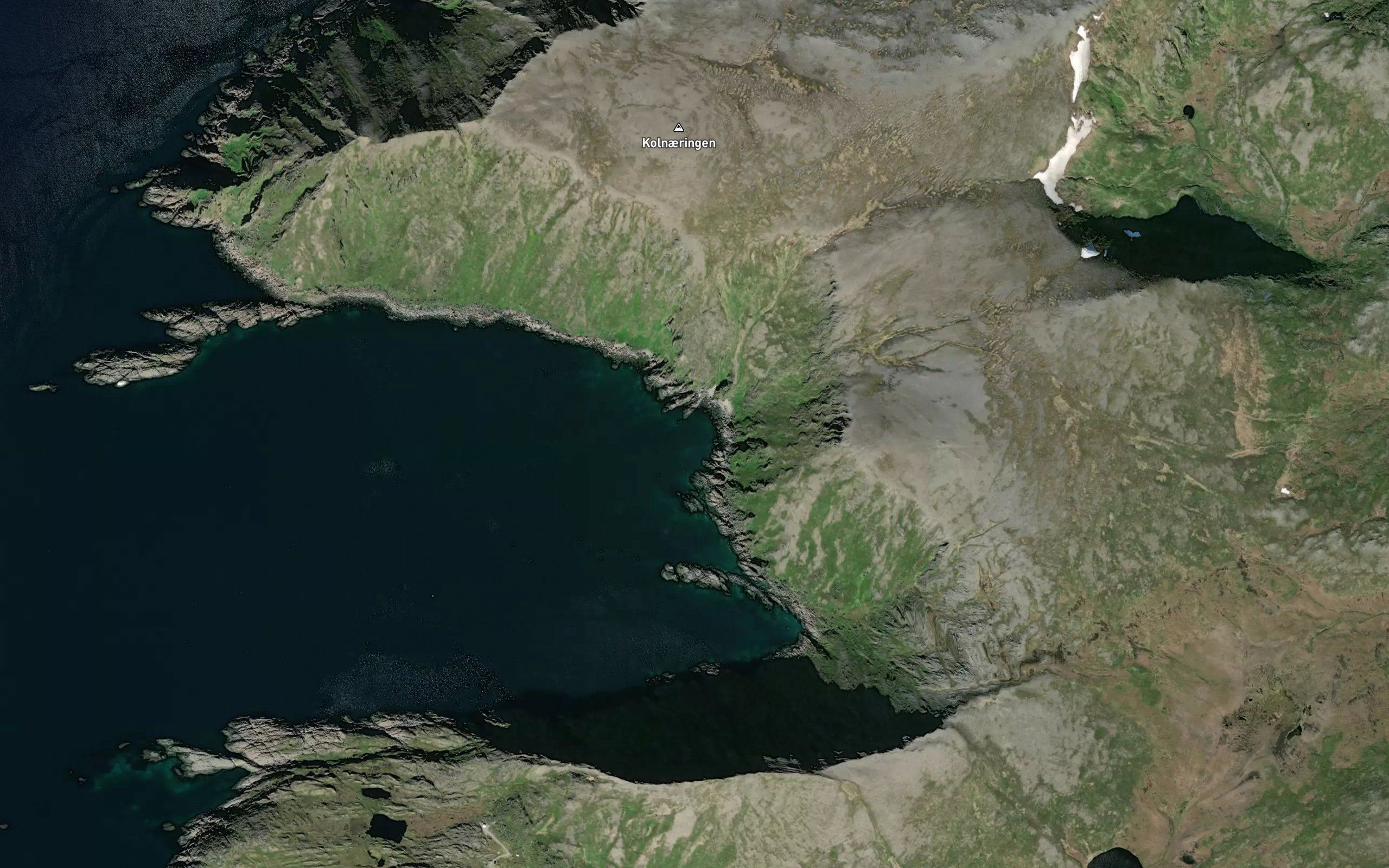 Mollvika