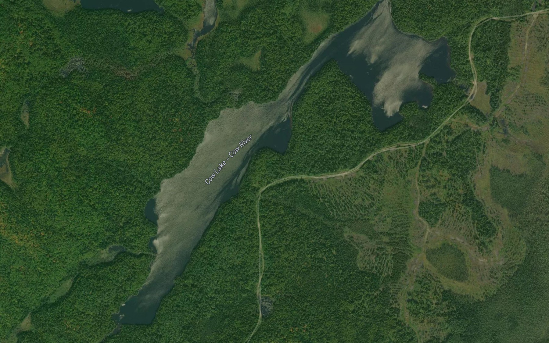 Satellite map of the Cow Lake