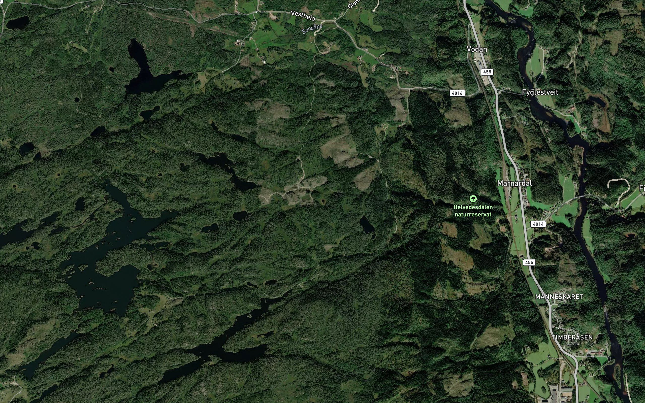Gulltjonn