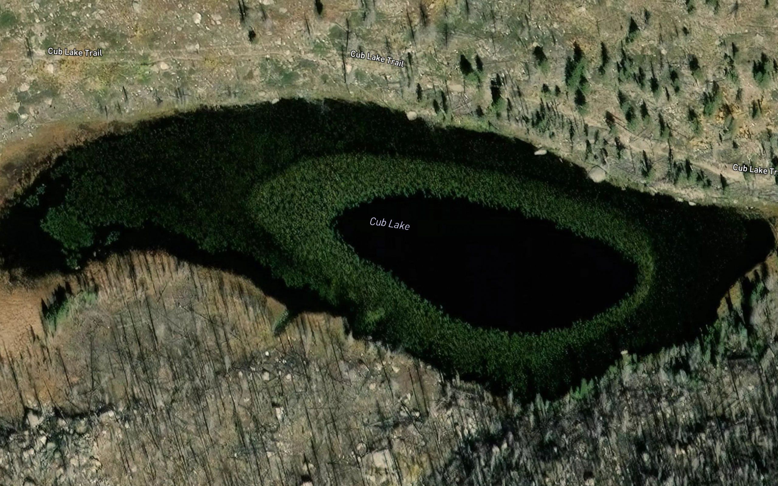 Cub Lake