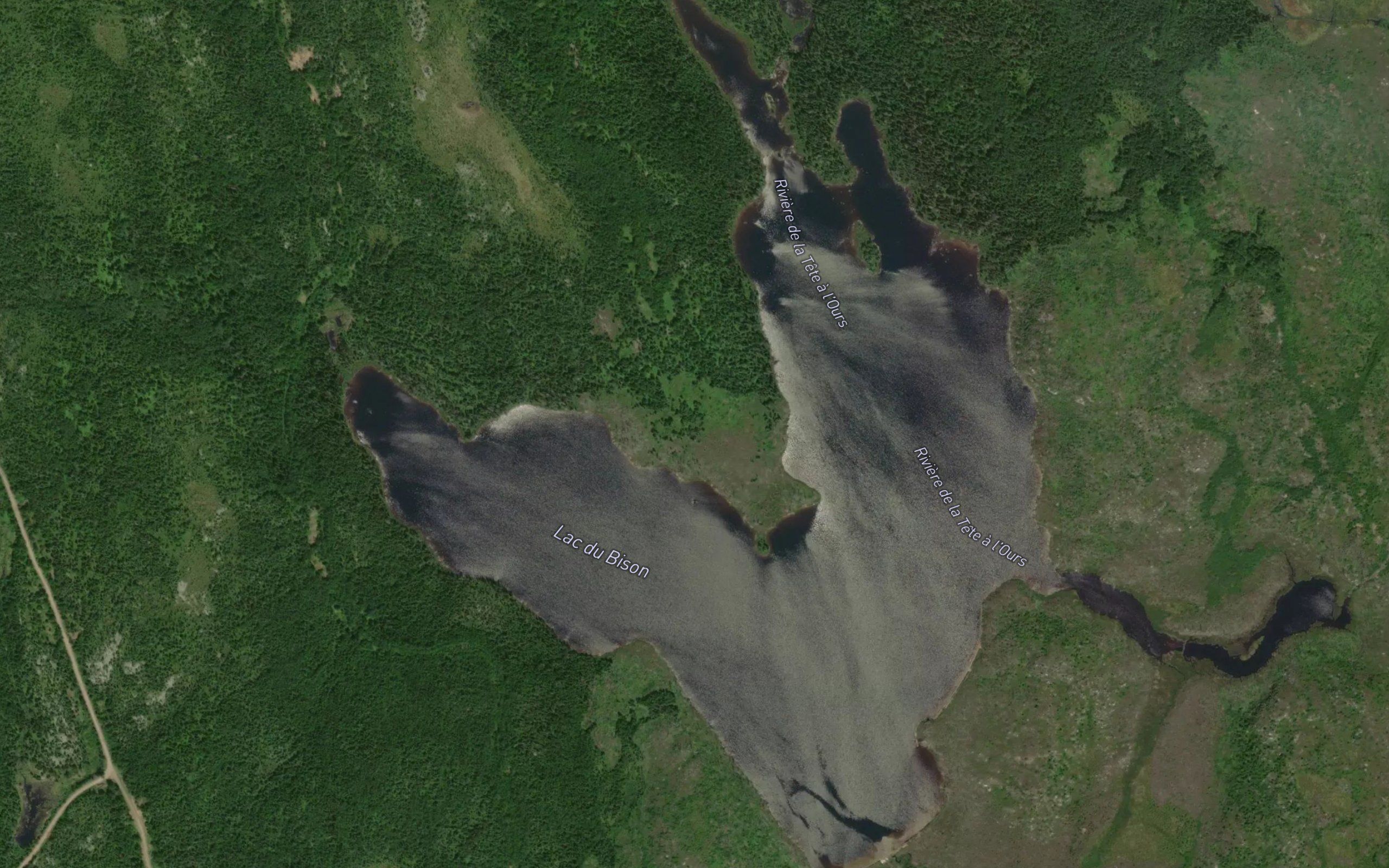 Lac du Bison