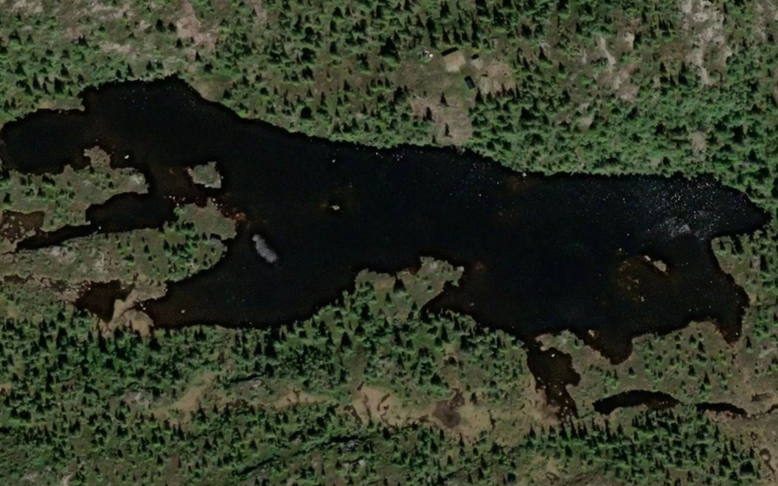 Greivstadtjonnane