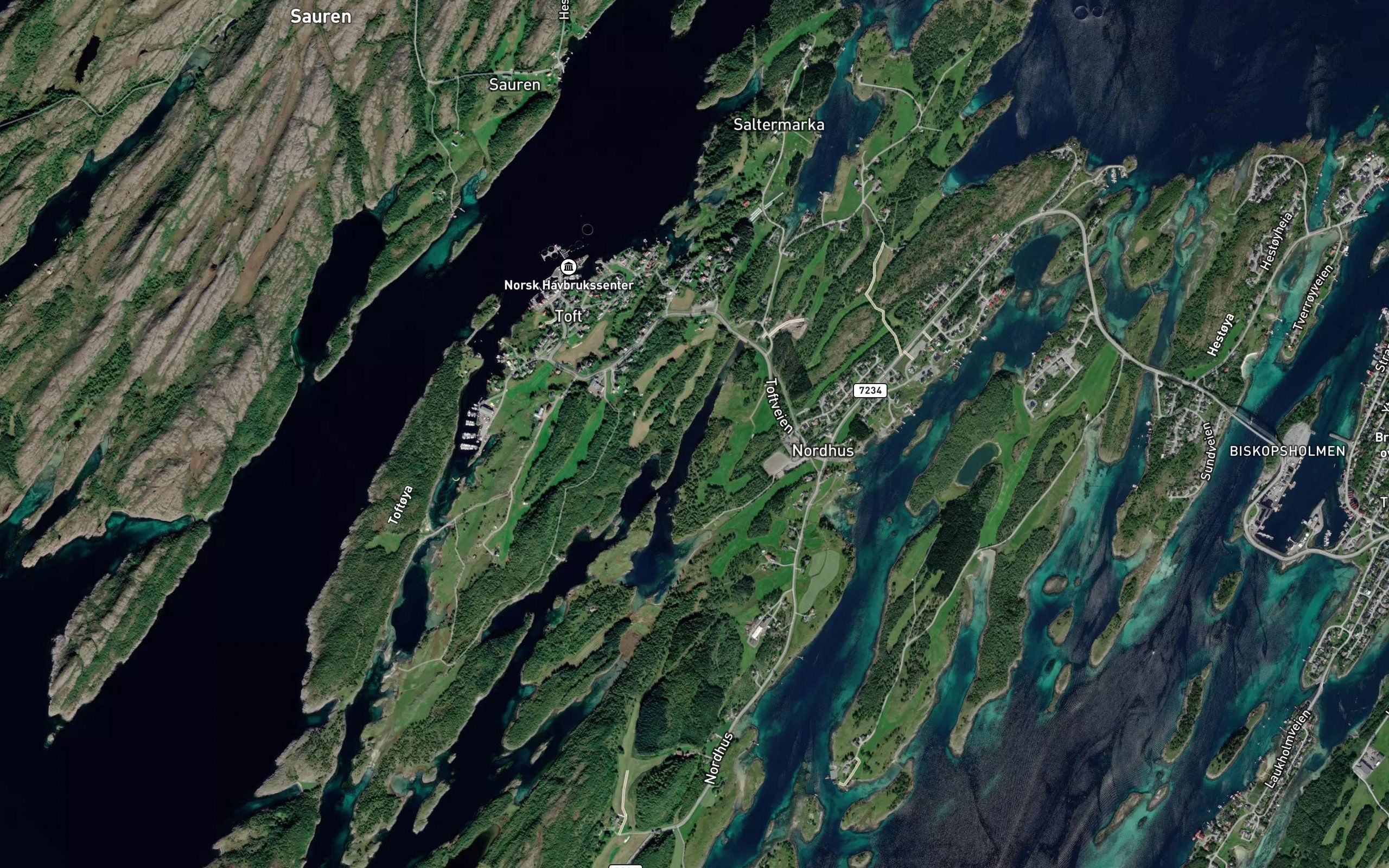 Eiternala