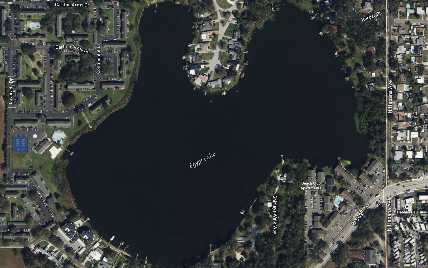 Satellite map of the Egypt Lake
