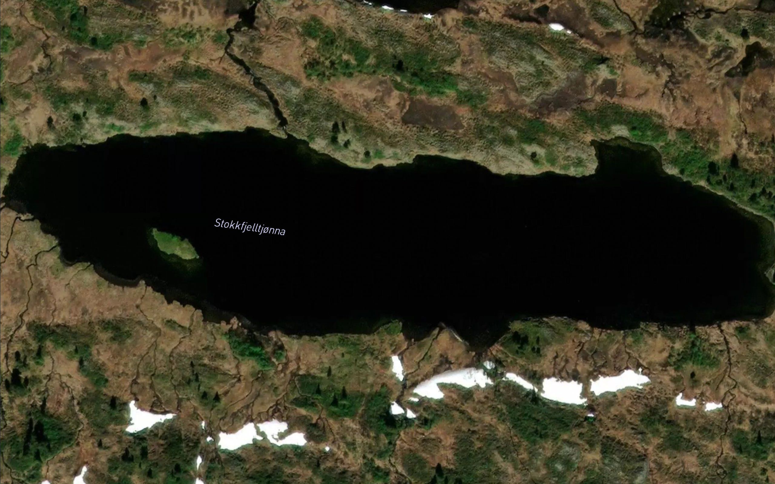 Stokkfjelltjorna