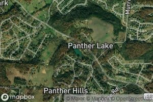 Panther Lake