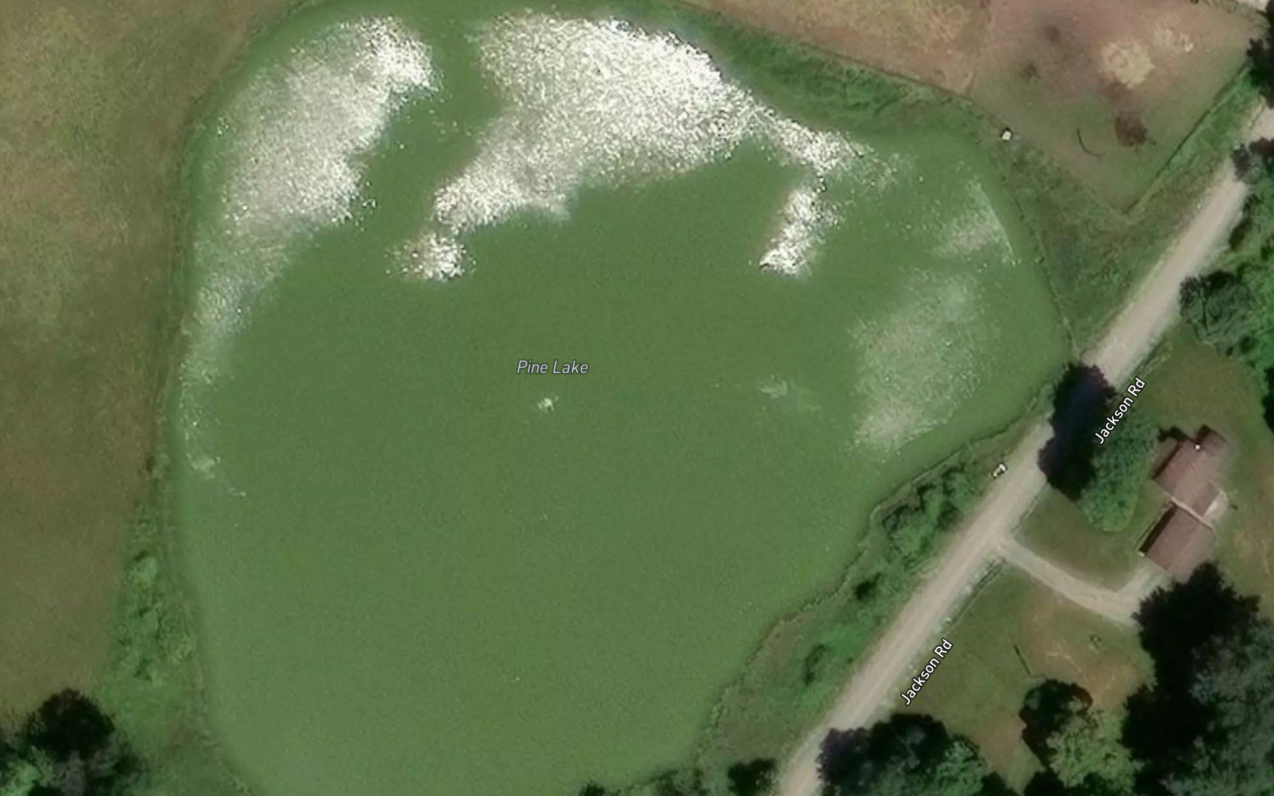 Pine Lake