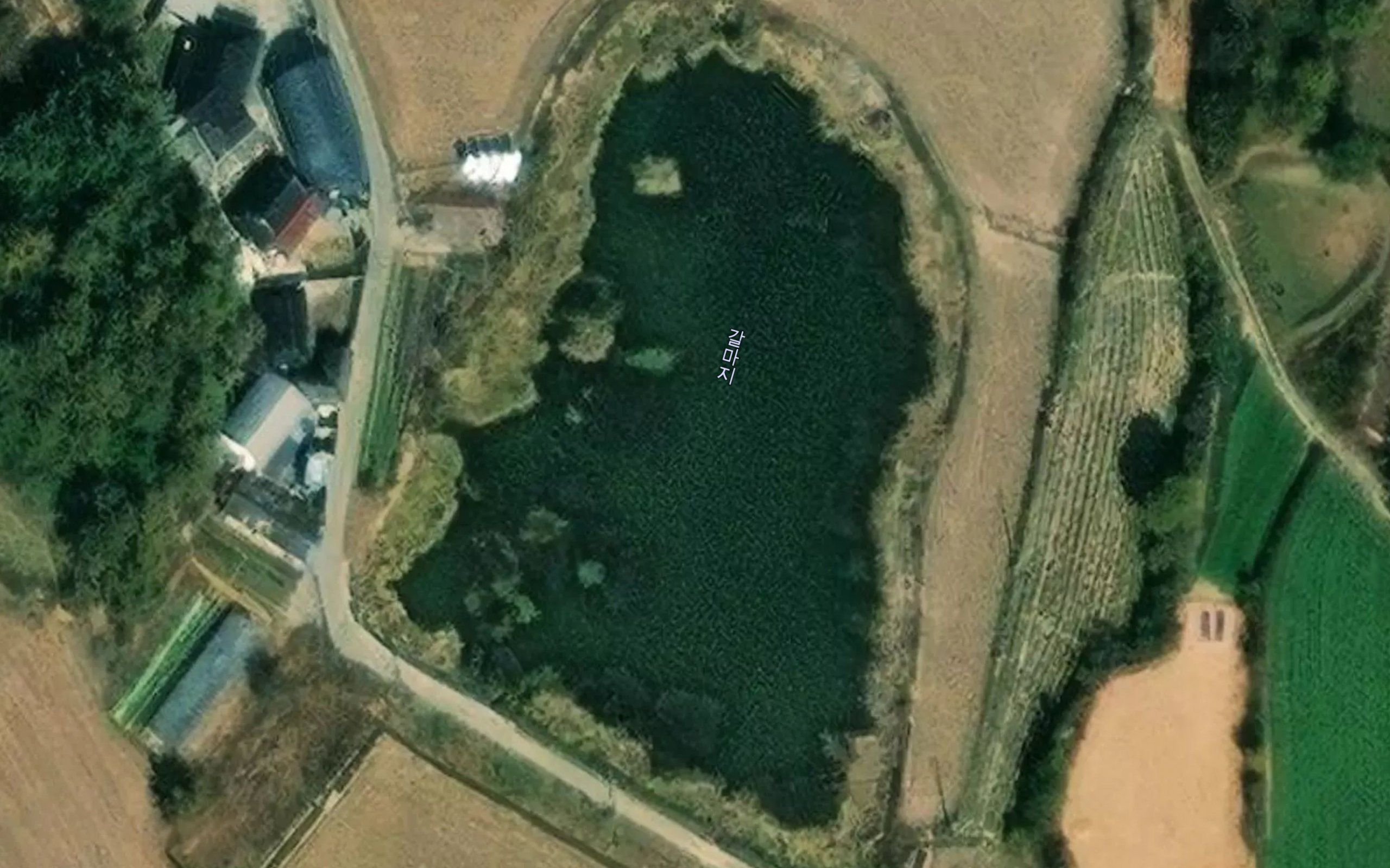 Galmaji