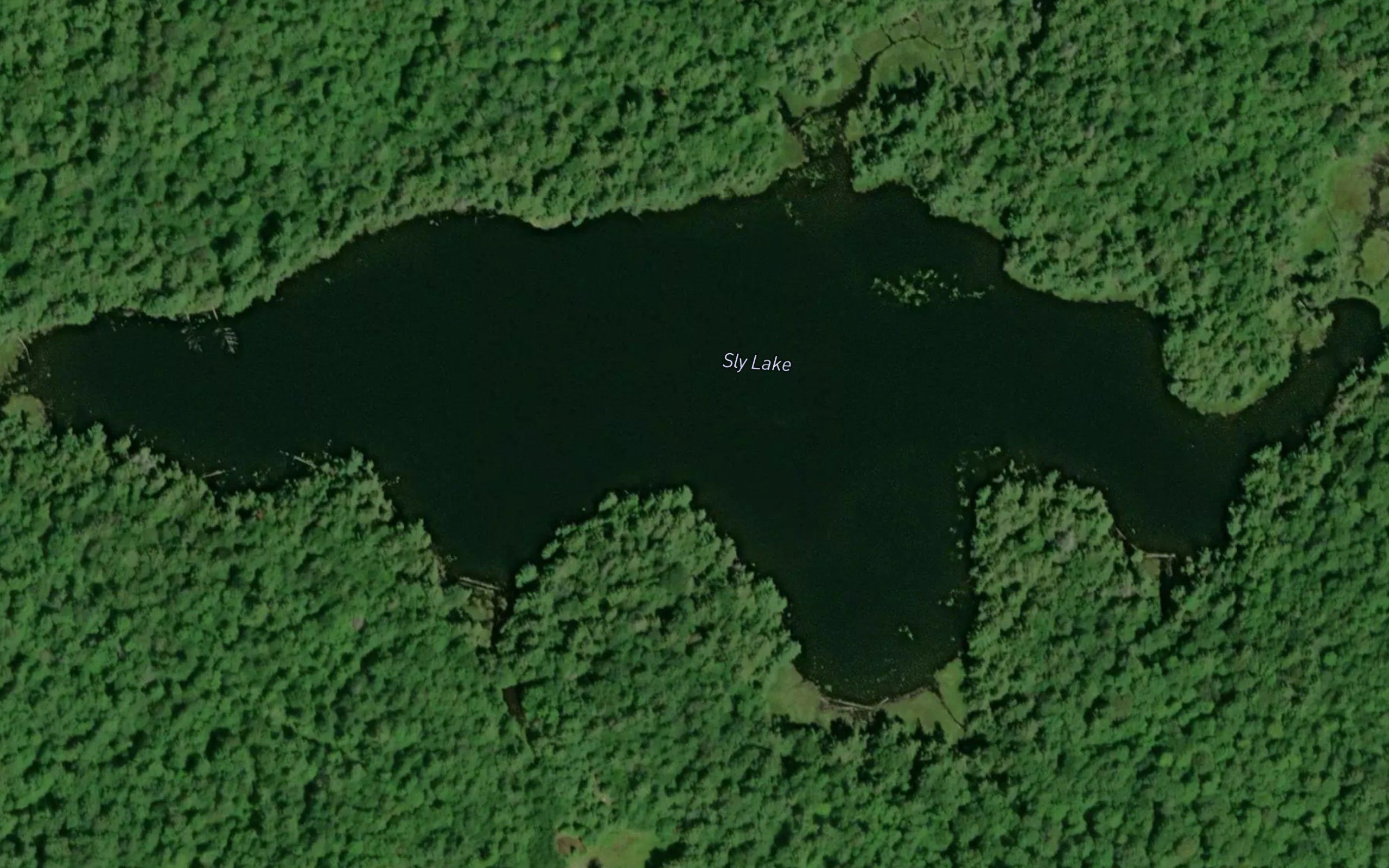 Sly Lake