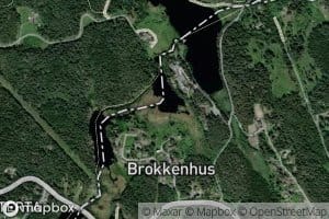 Brokkenhustjern