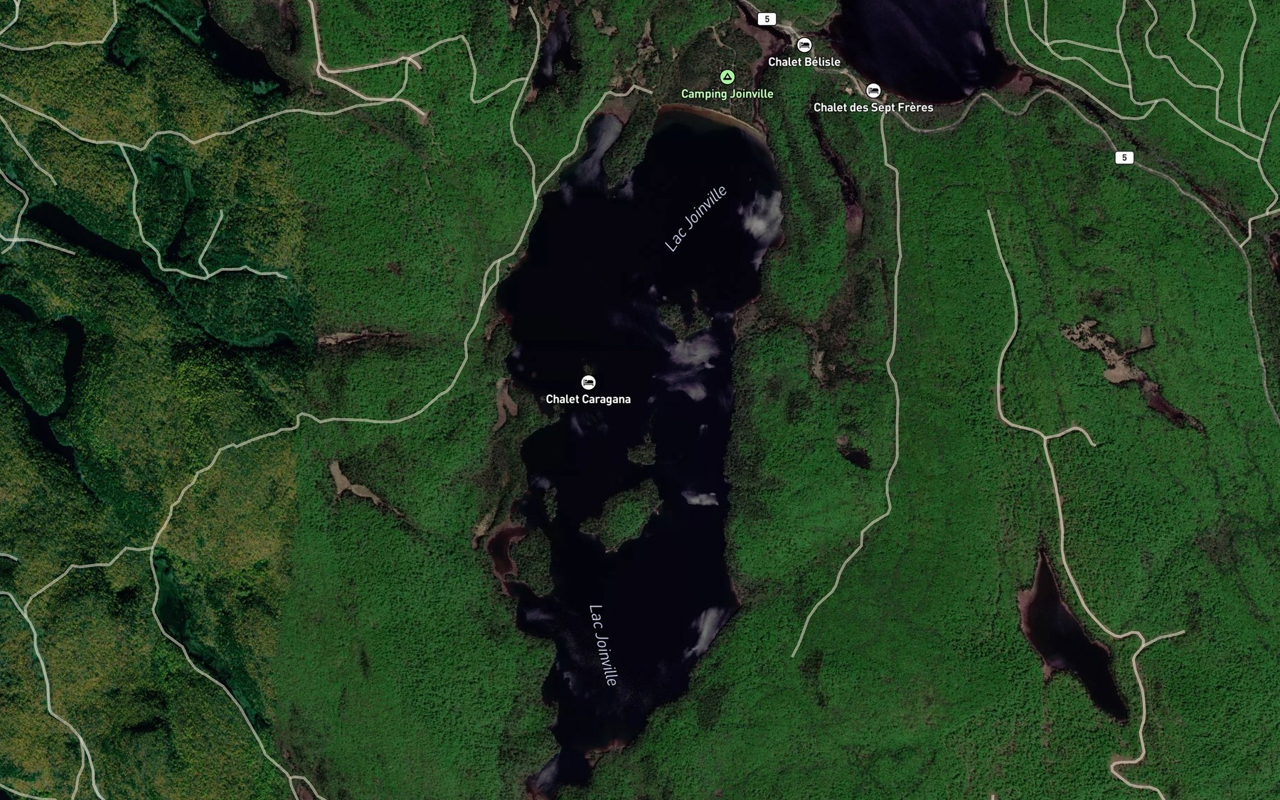 Satellite map of the Lac Joinville