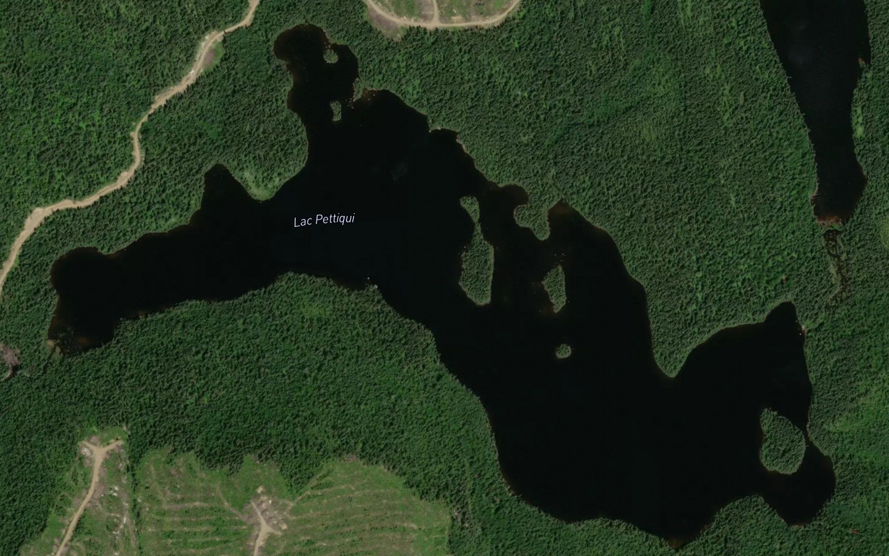 Satellite map of the Lac Pettiqui