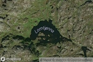 Lomtjonna