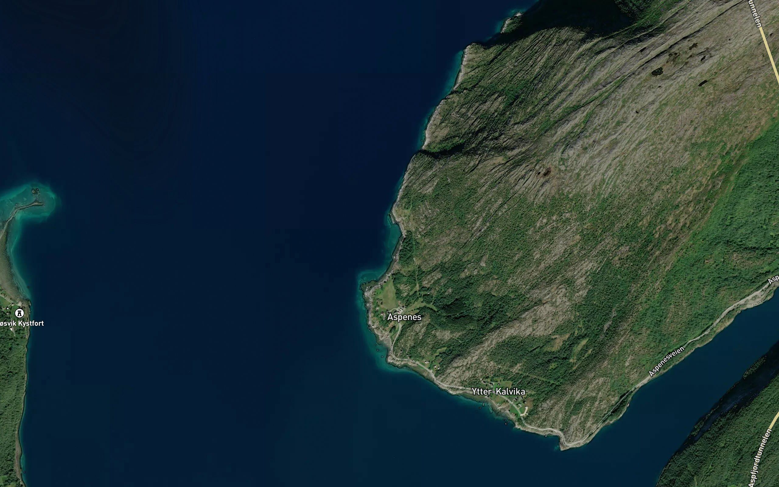 Langskjervika