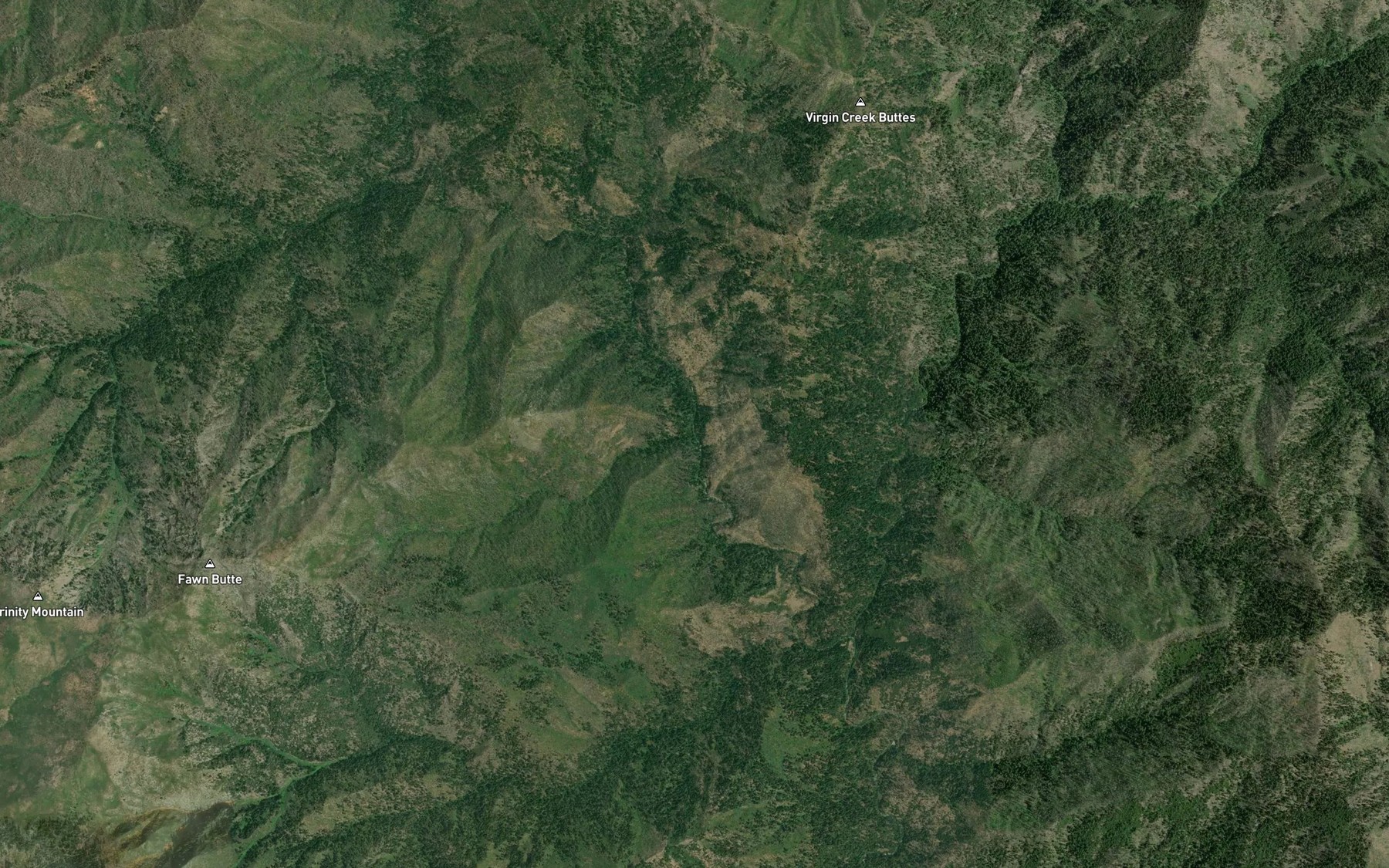 Satellite map of the Twomile Creek