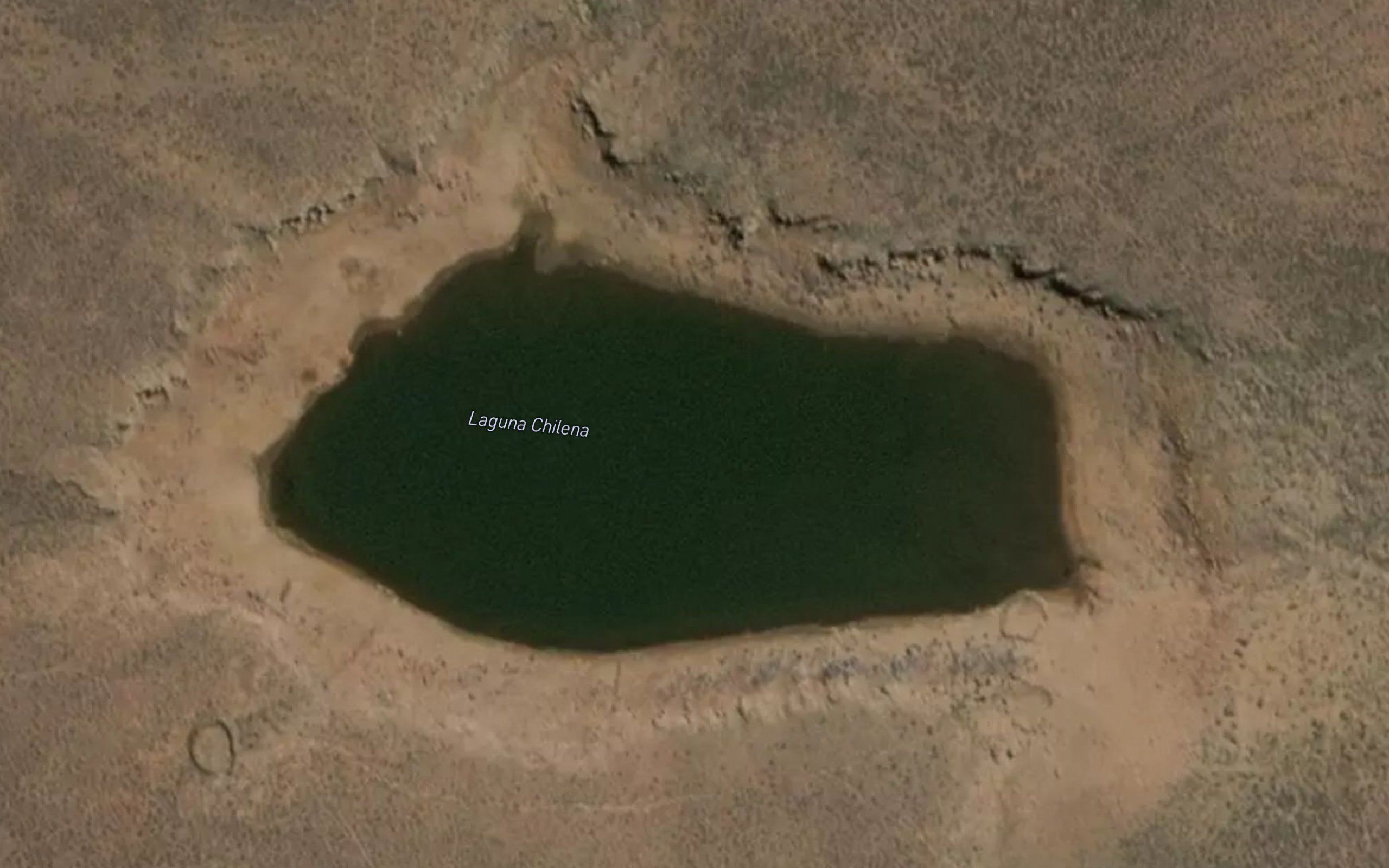 Laguna Chilena