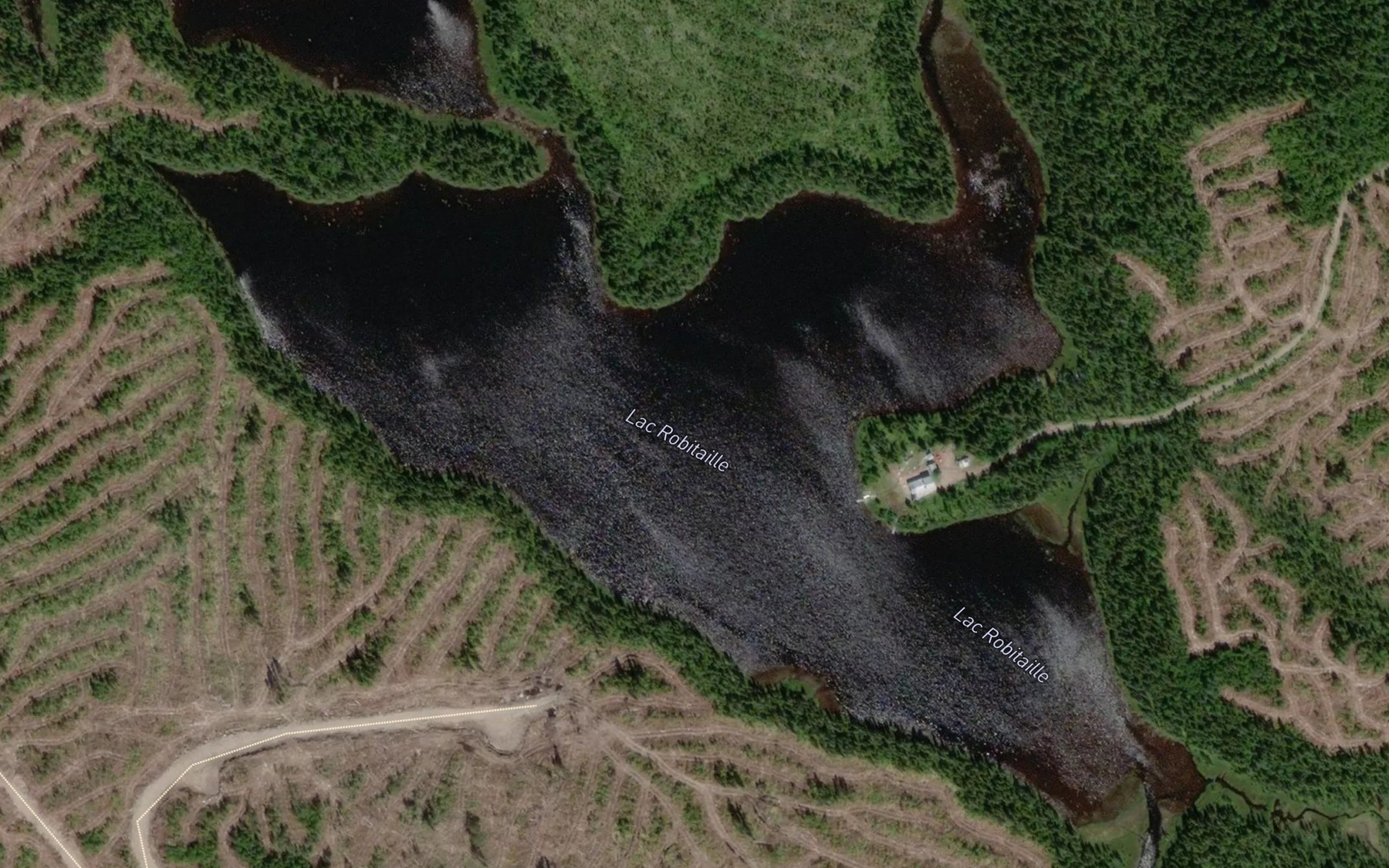 Satellite map of the Lac Robitaille