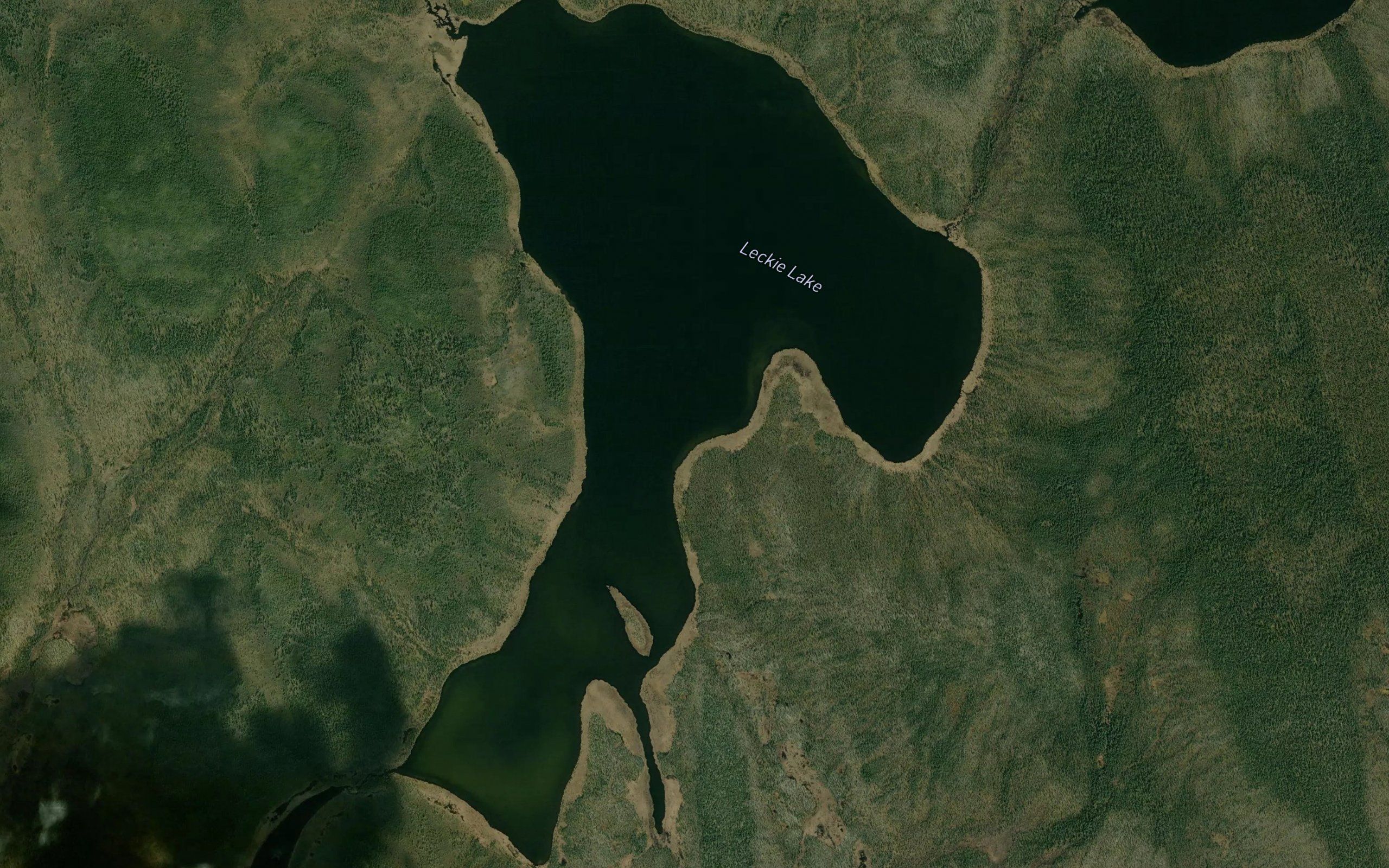 Leckie Lake