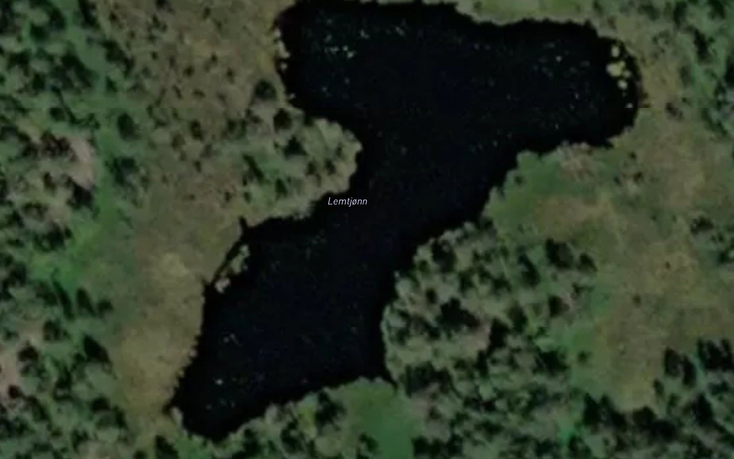 Lemtjonn