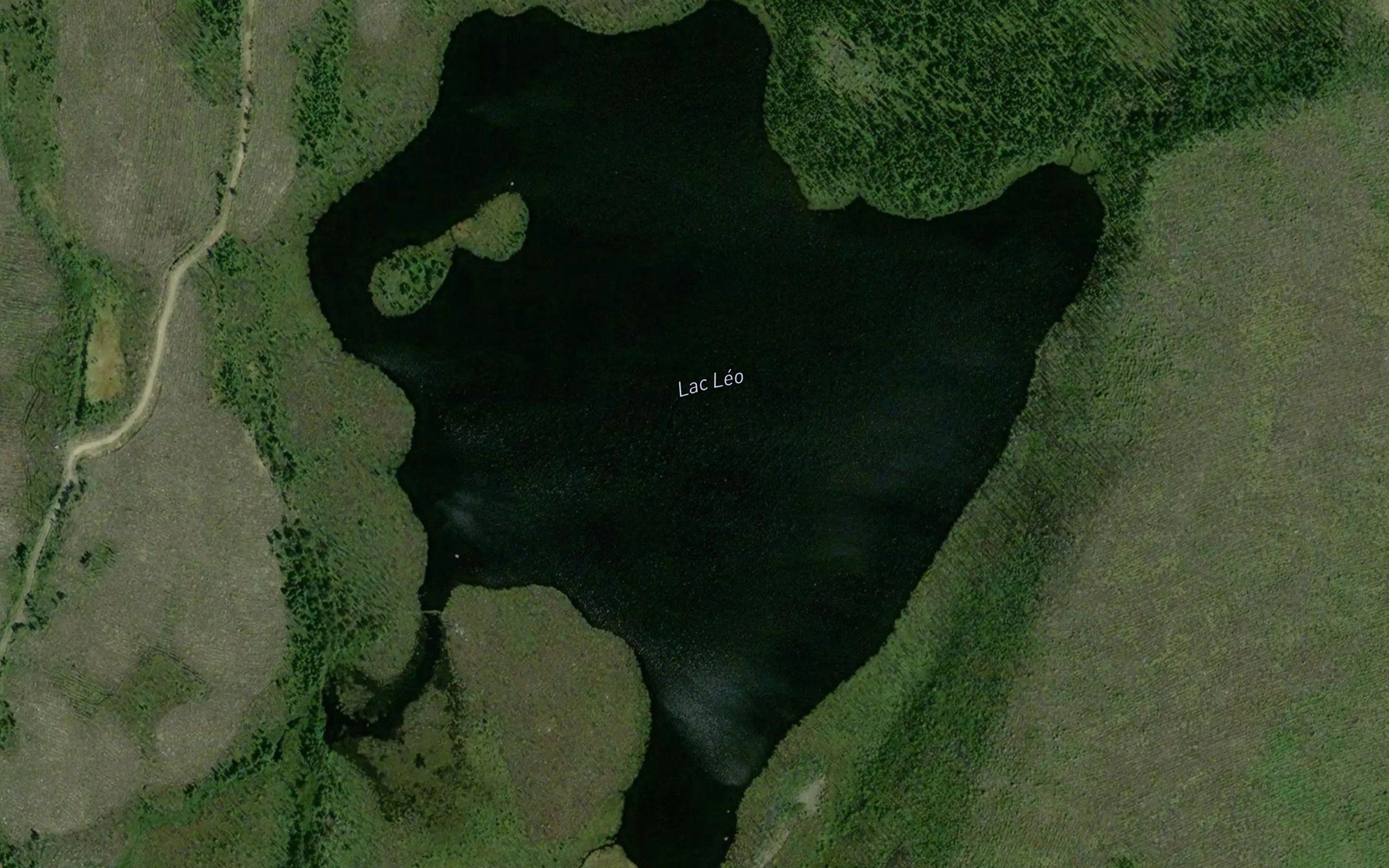 Lac Leo