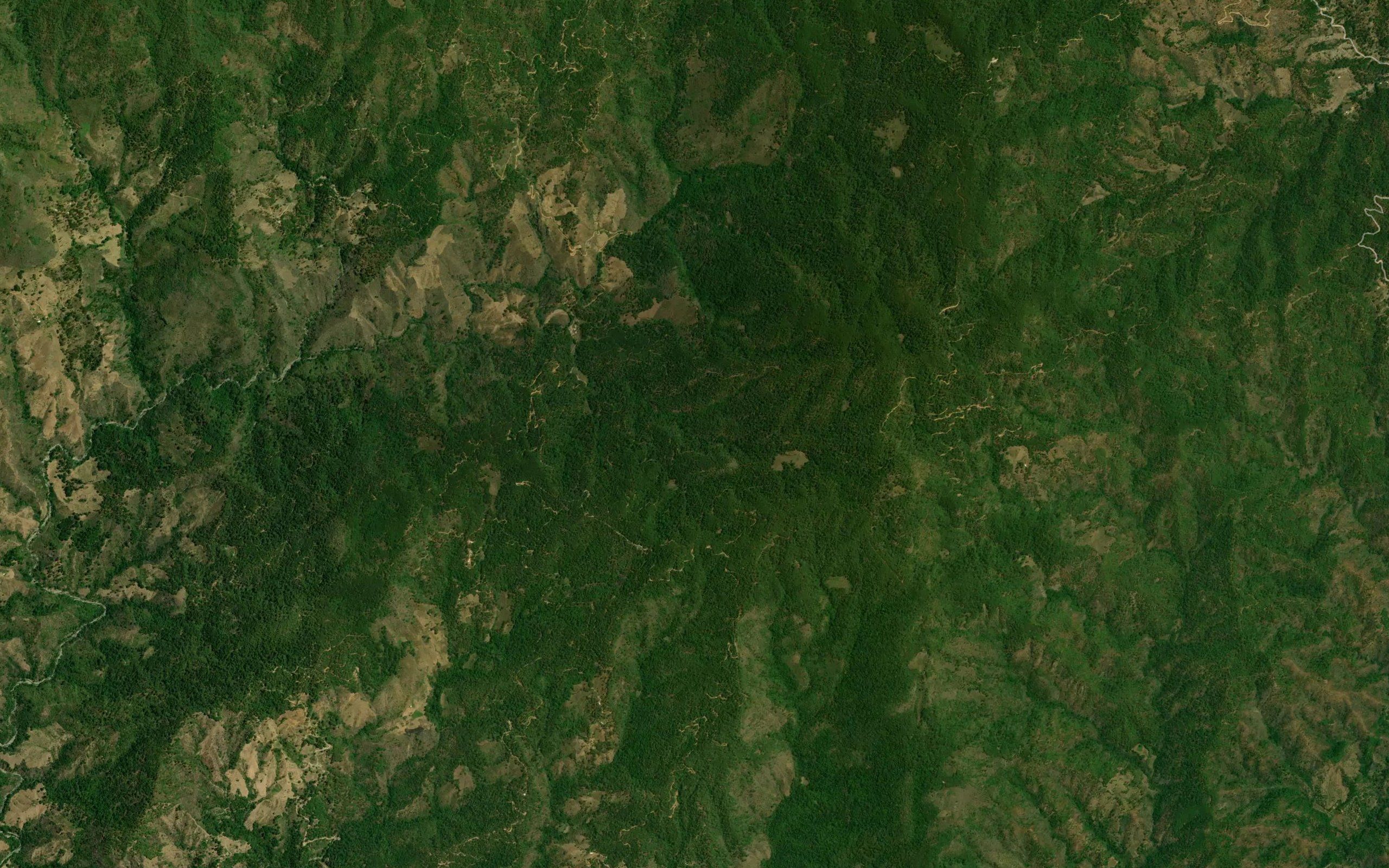 Monte Verde