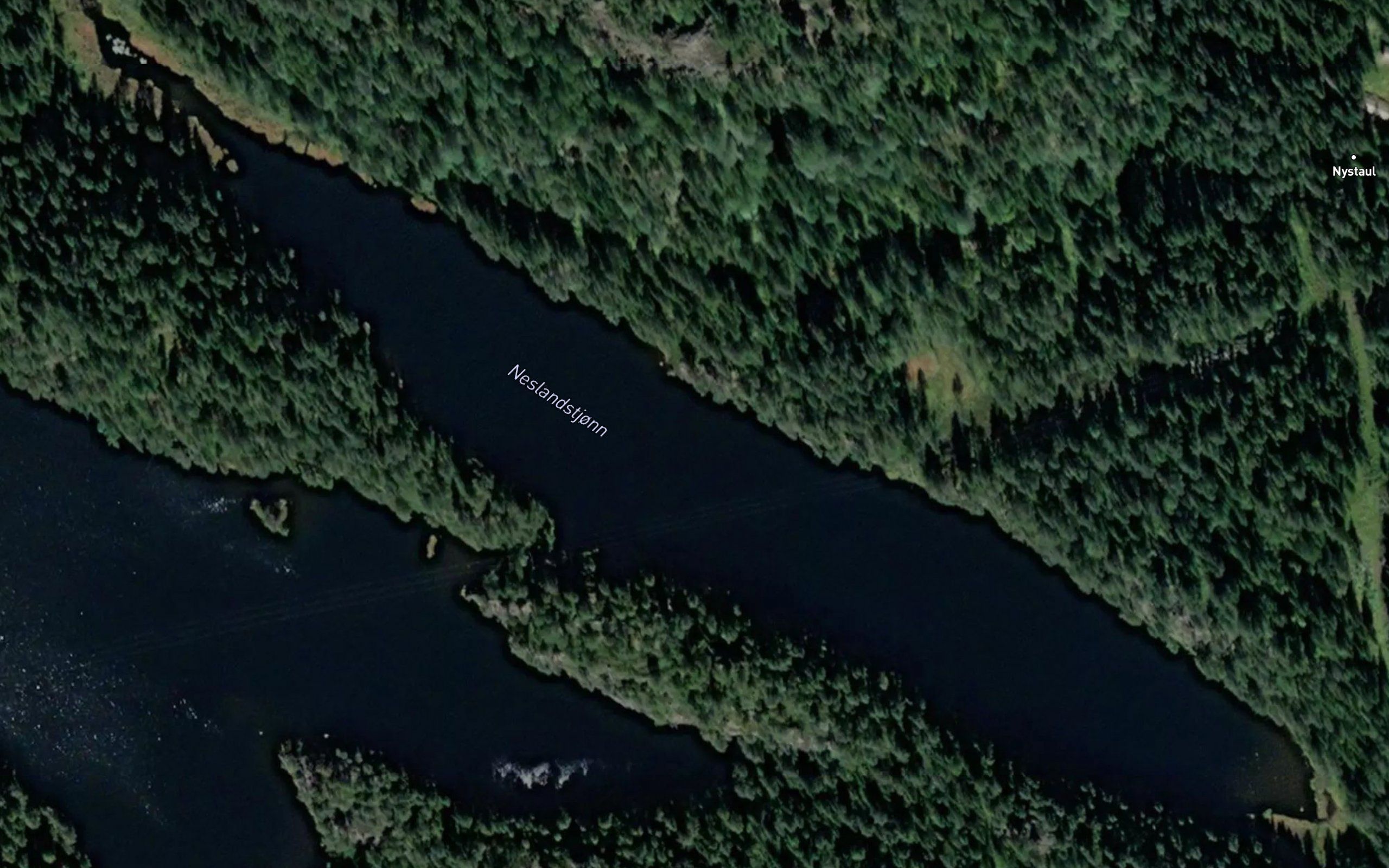 Neslandstjonn