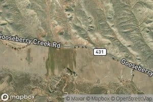 Holly and Niccolls Ditch