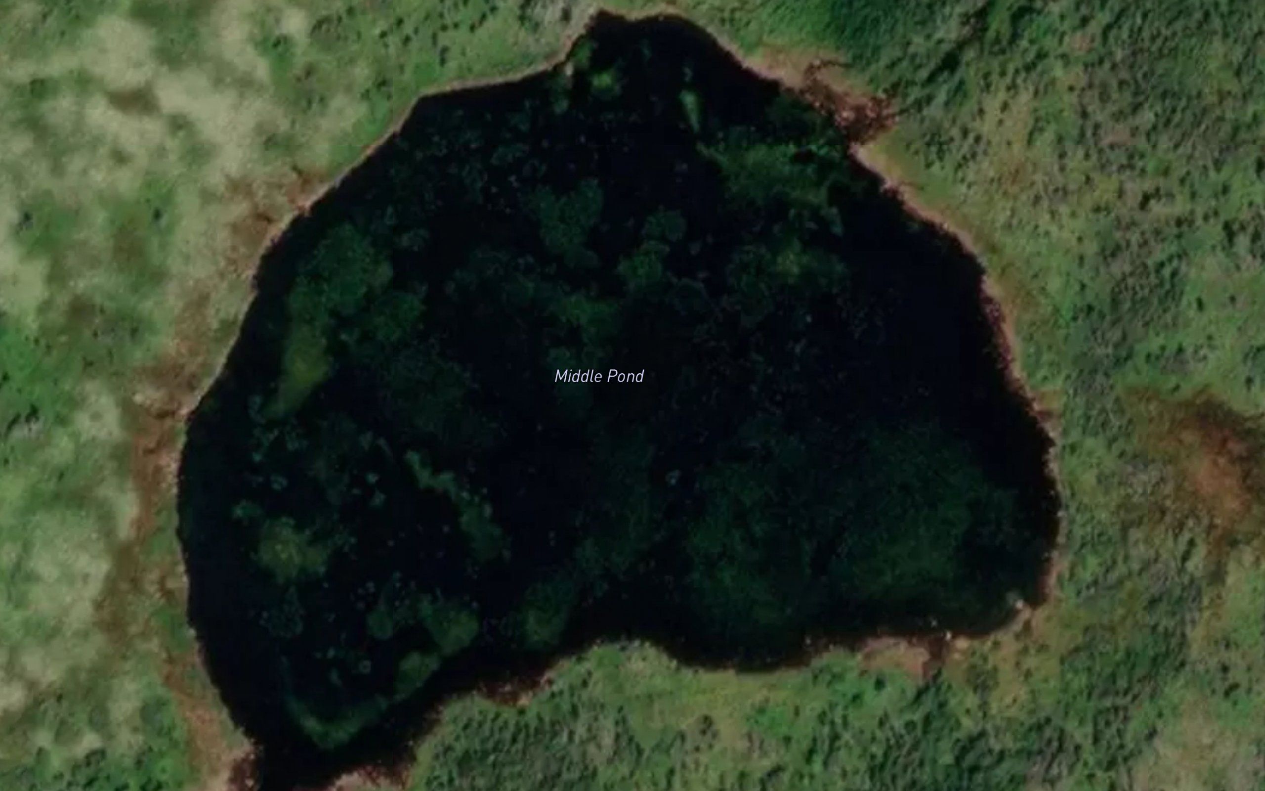 Middle Pond