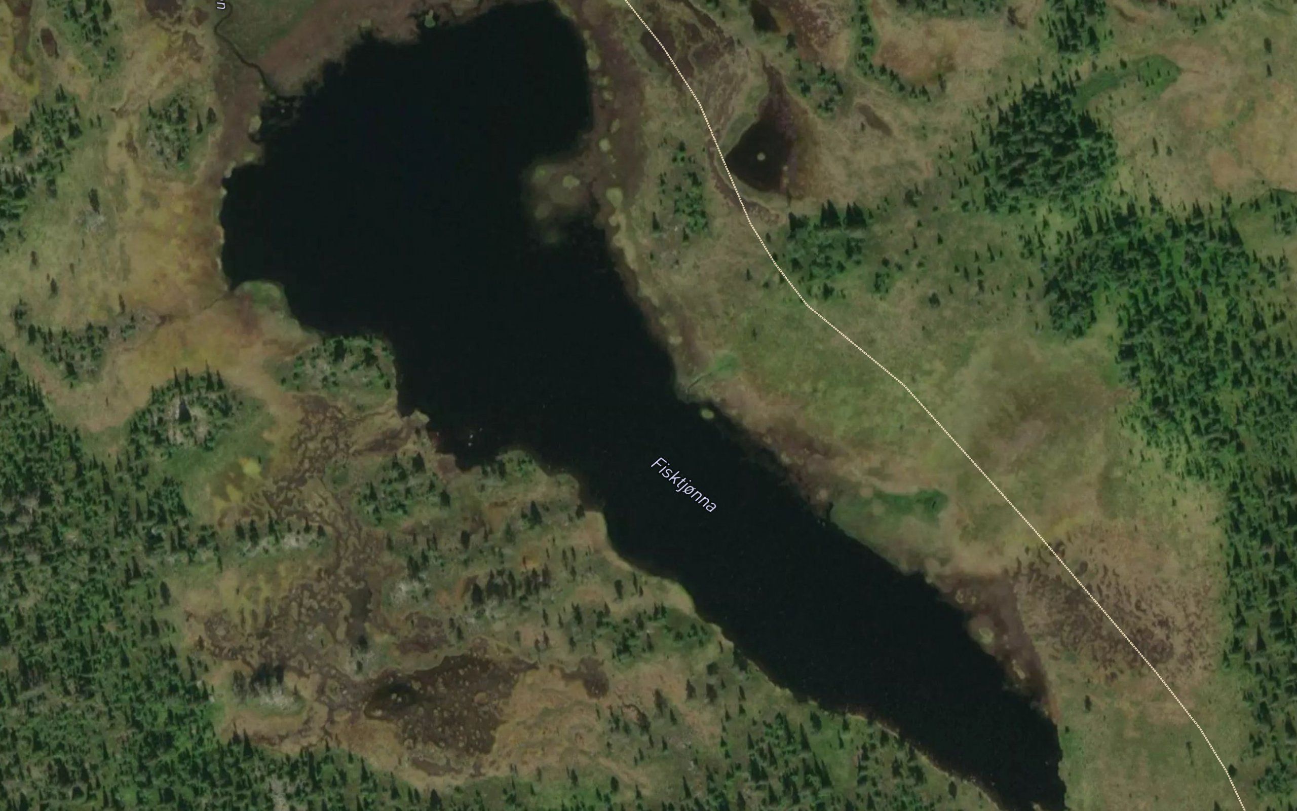 Fisktjorna