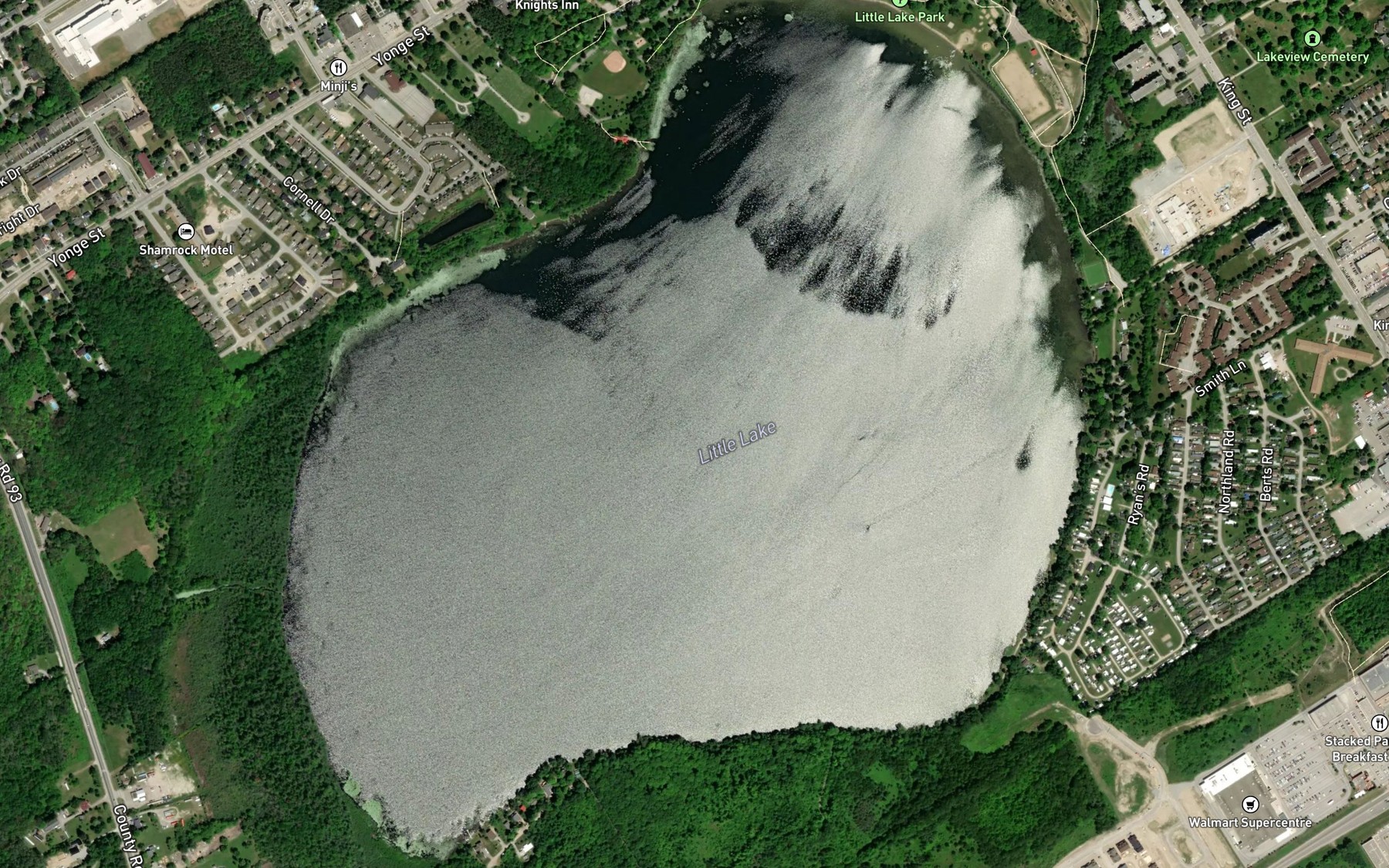 Satellite map of the Little Lake